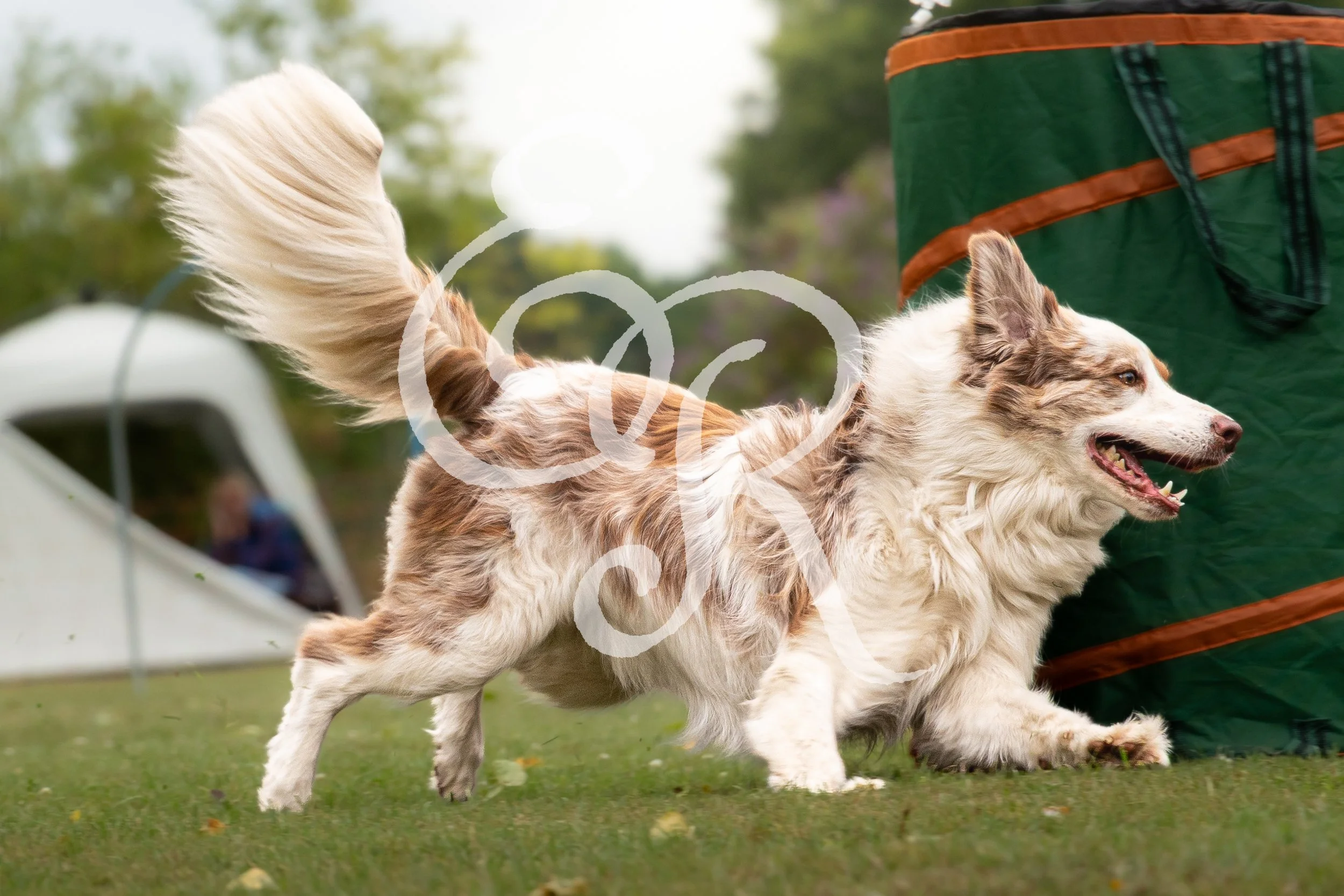 IMG_1901.jpeg