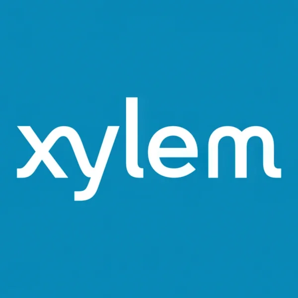 xyl-lg.webp