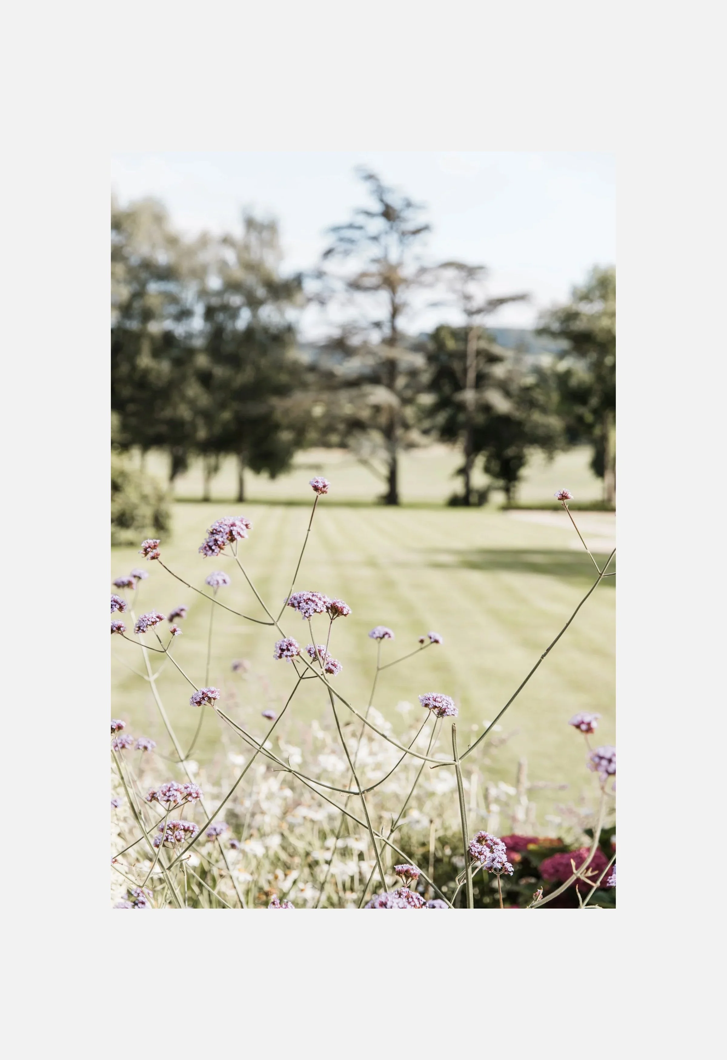 Deer Park Winter wedding-133.jpg