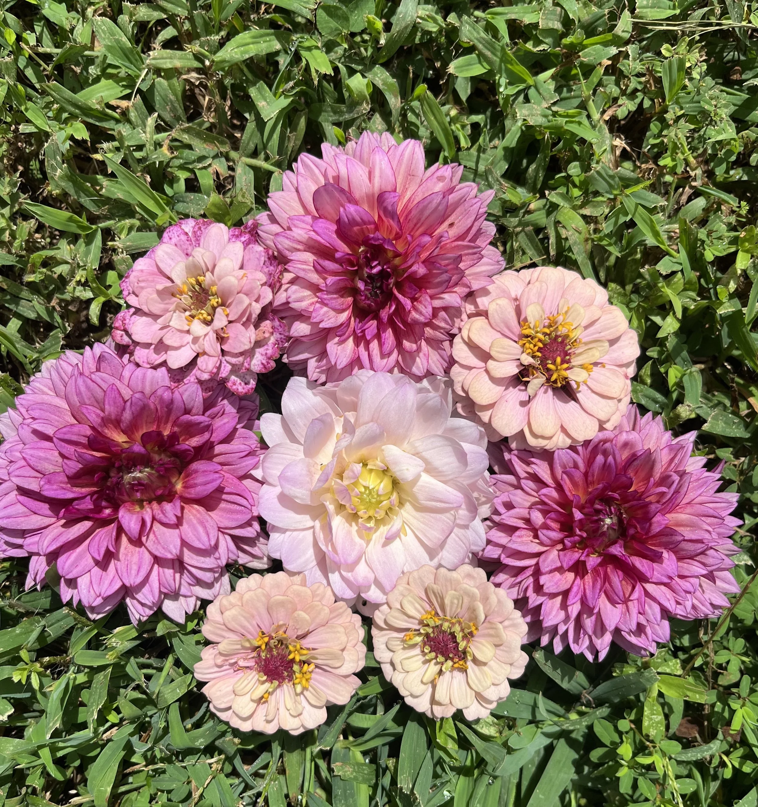 flowers2.jpeg