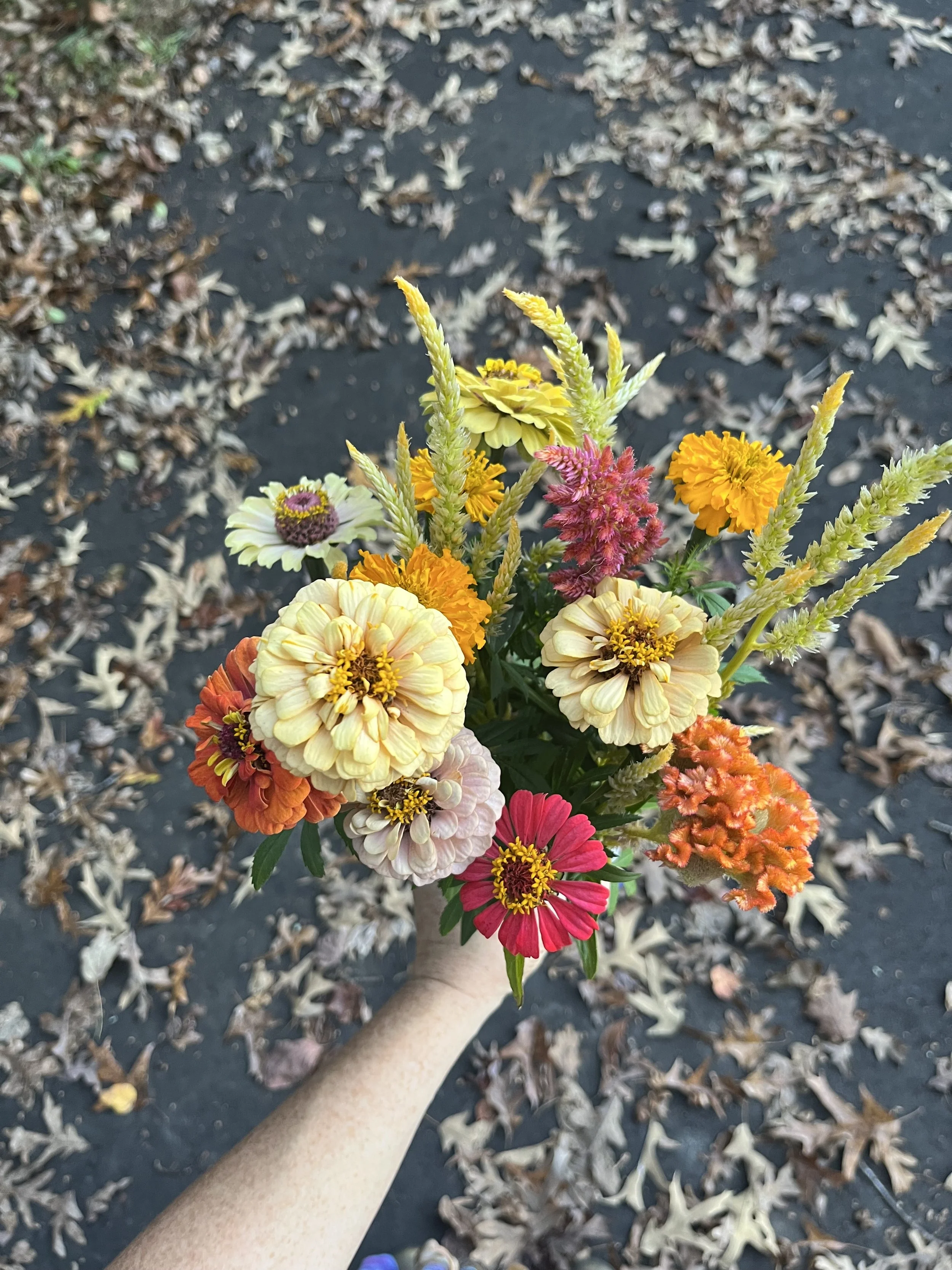 Blue Moon Posy