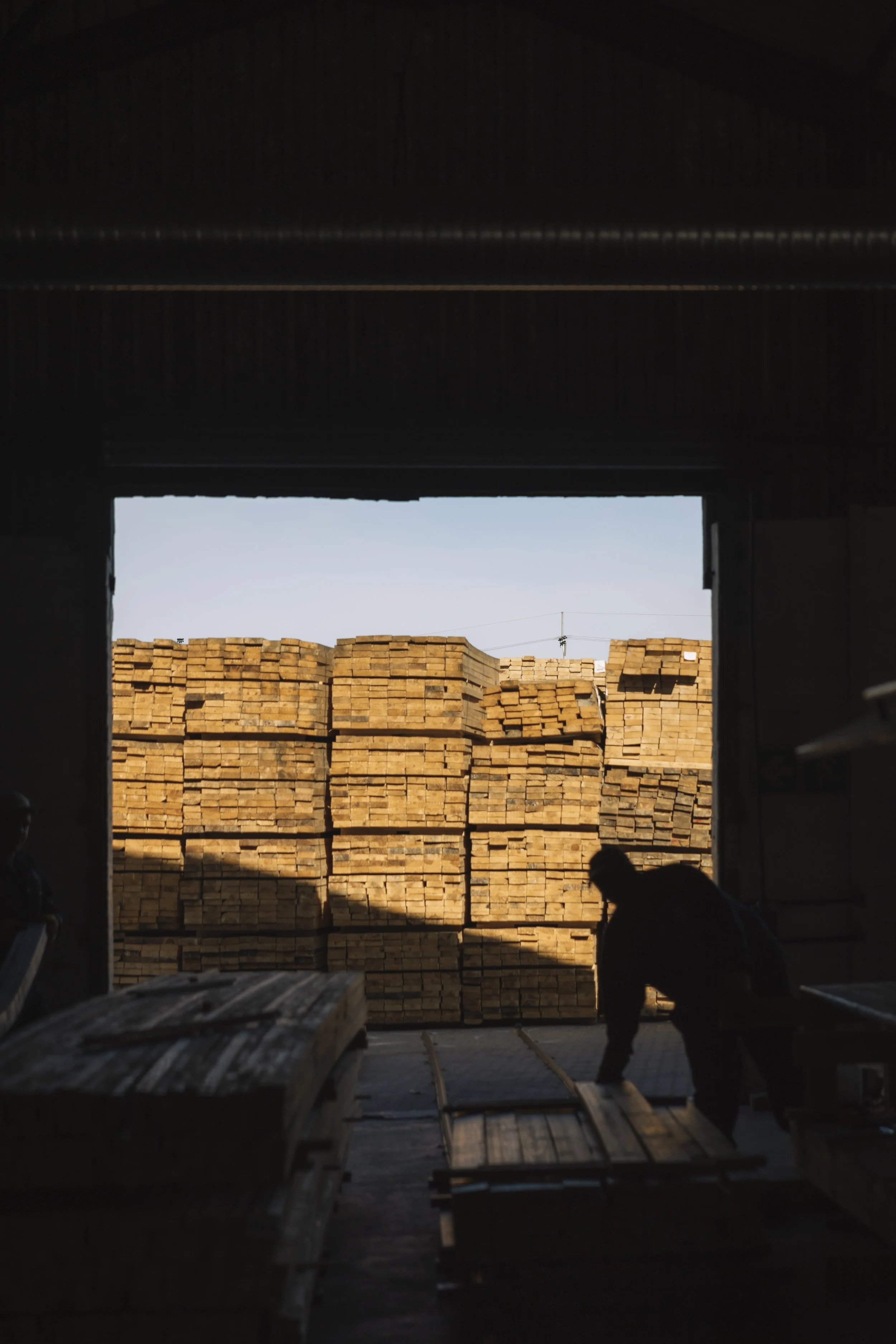 View of stacked wooden planks outside a storage area, seen through a dark interior opening with shadows of workers in the foreground.