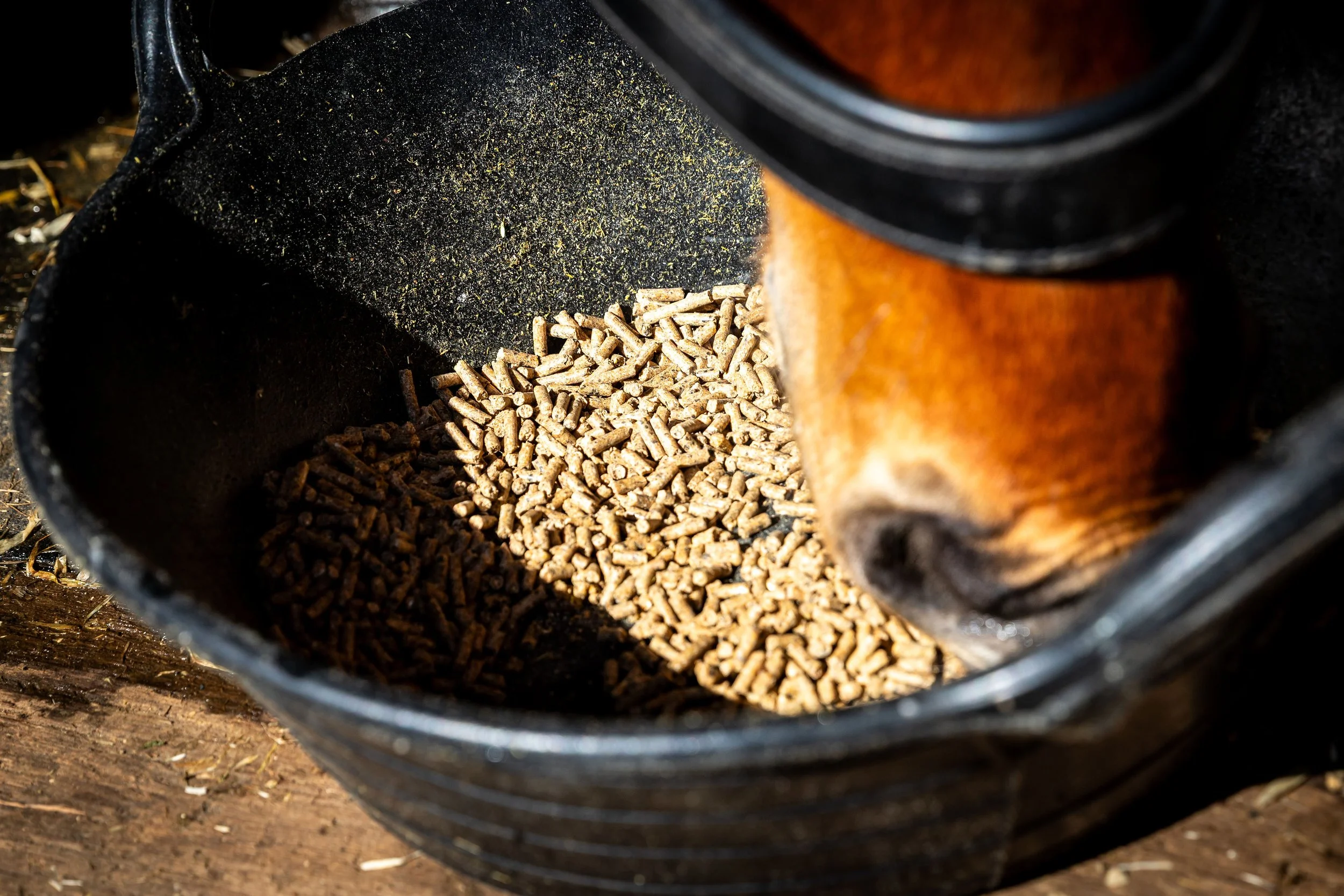 Close-up of a black pellet stove with small wood pellets inside and part of a rust-colored domed top visible.
