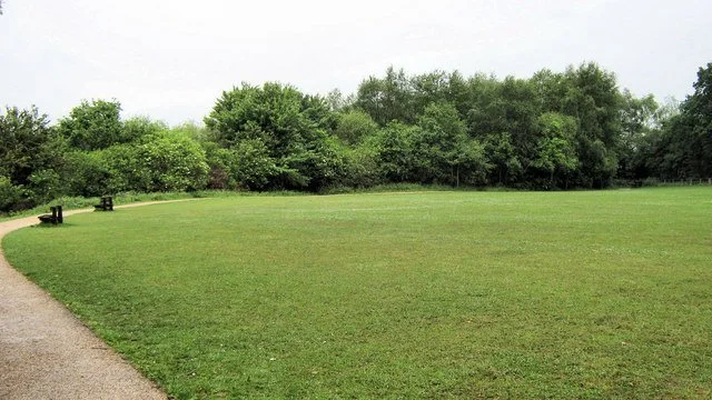 Mown amenity grassland