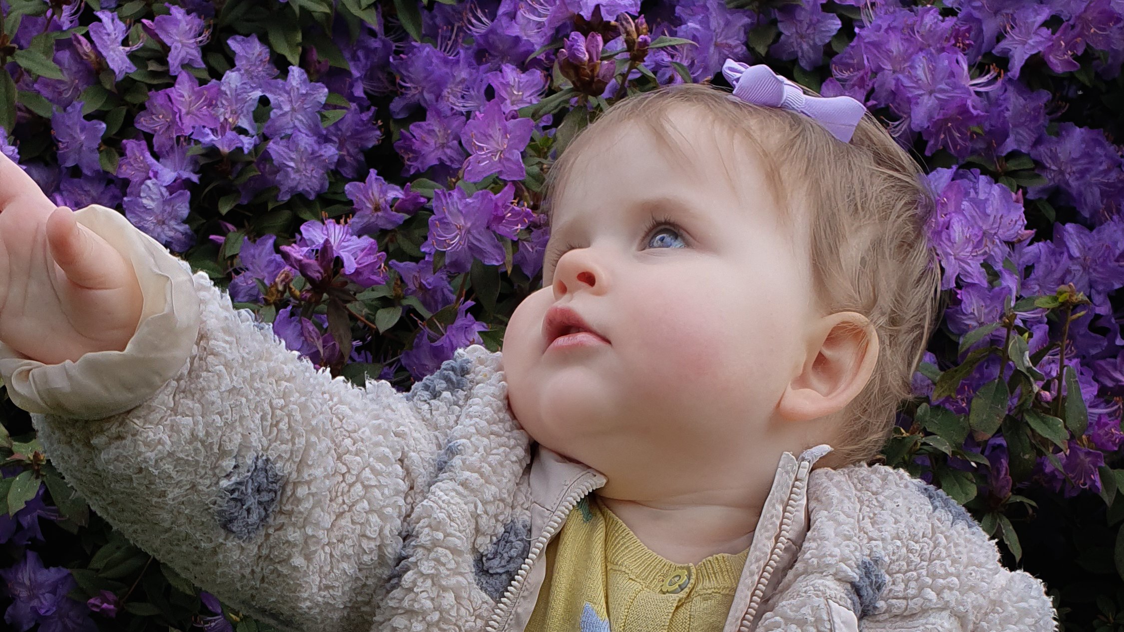 A candid, natural light portfolio photograph of a beautiful baby reaching out for their mum against a vibrant background of blooming purple flowers.