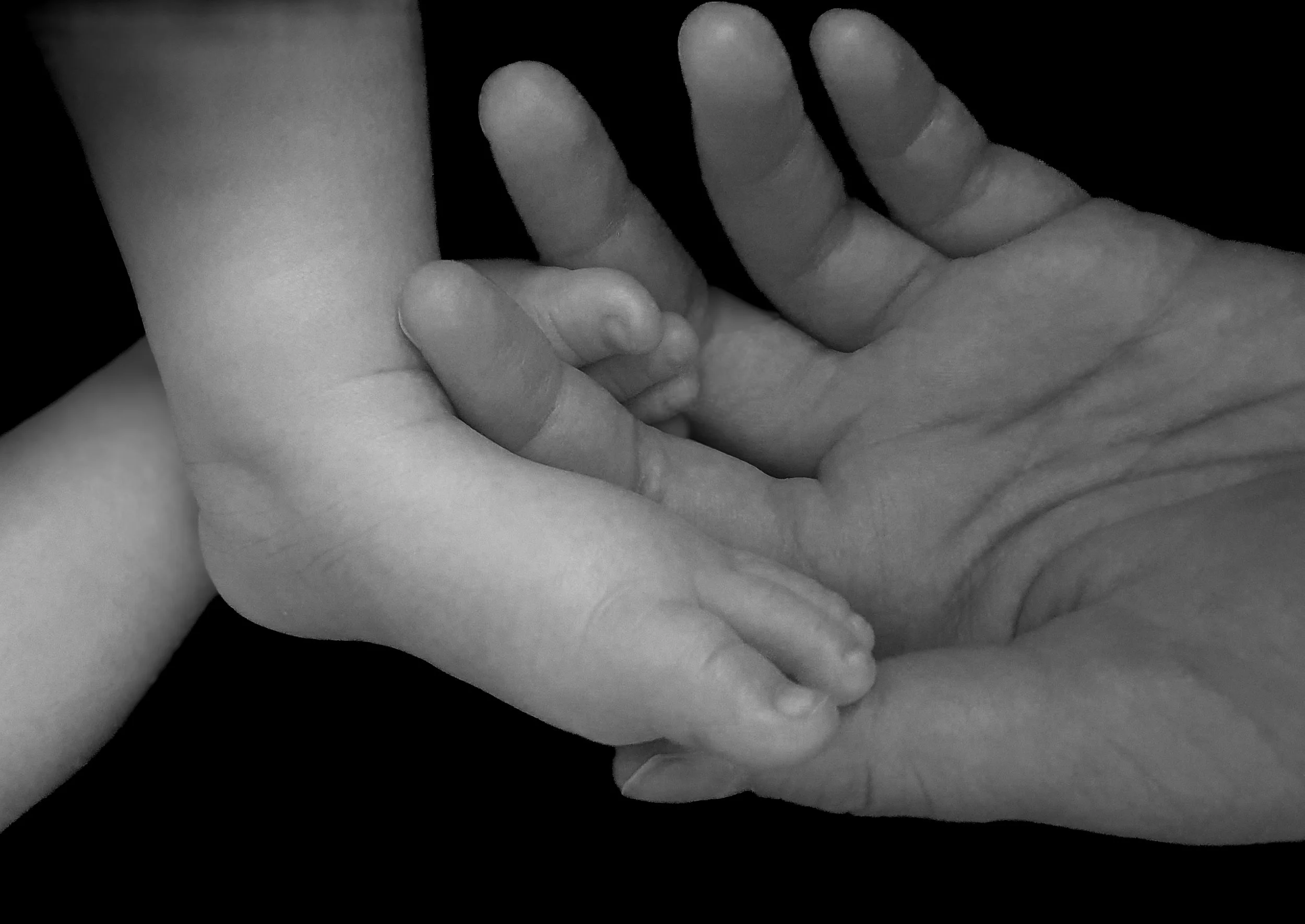 "A touching, high-contrast portfolio photograph of a parent's hand gently cradling a tiny baby's feet against a solid black background.