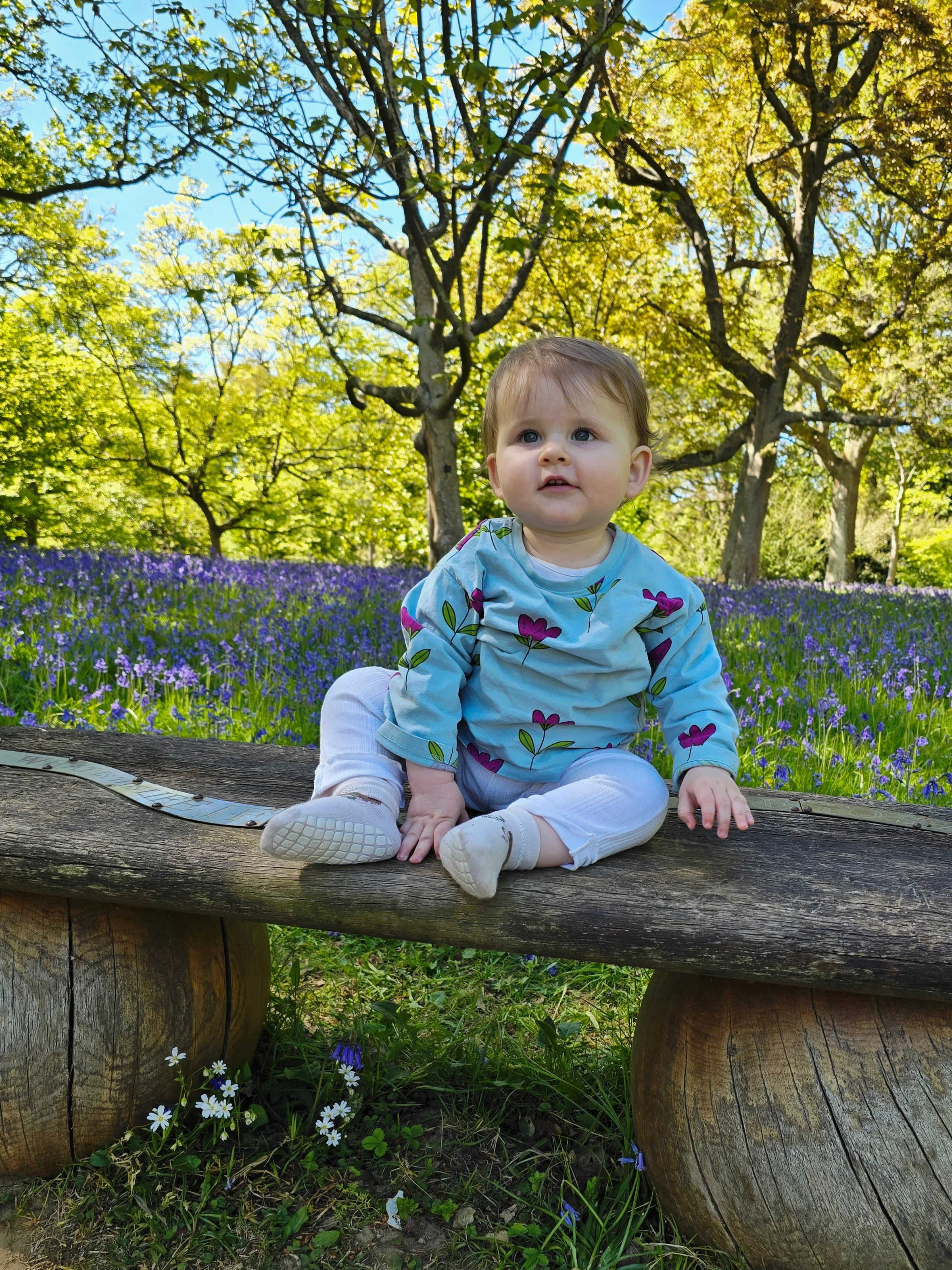 A charming, natural light portrait of a toddler sitting on a small wooden bench, surrounded by a vibrant field of blooming bluebells.
