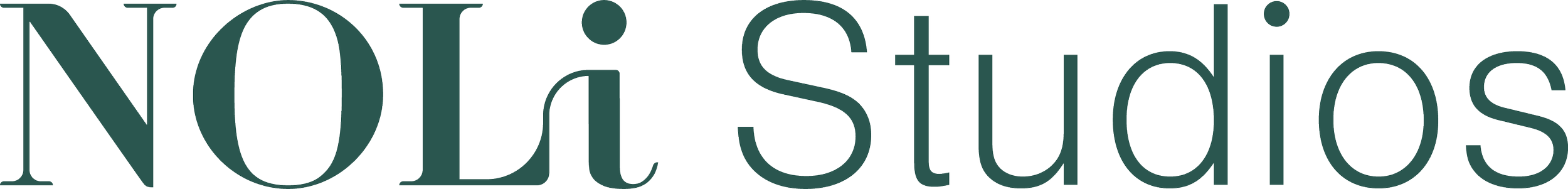 Logo of NOLI Studio with stylized text in black and teal colors.