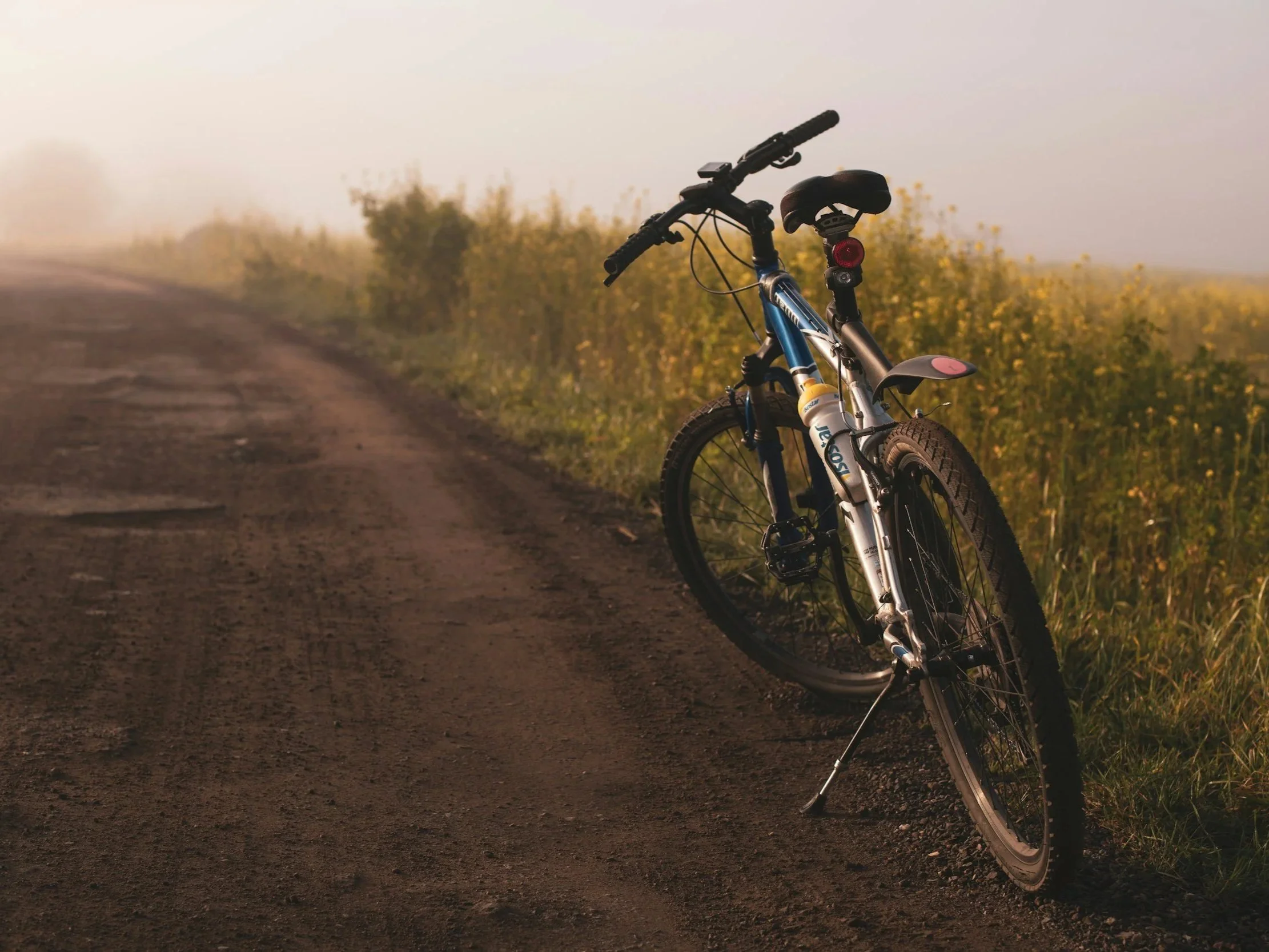 A bicycle resting beside a dirt road