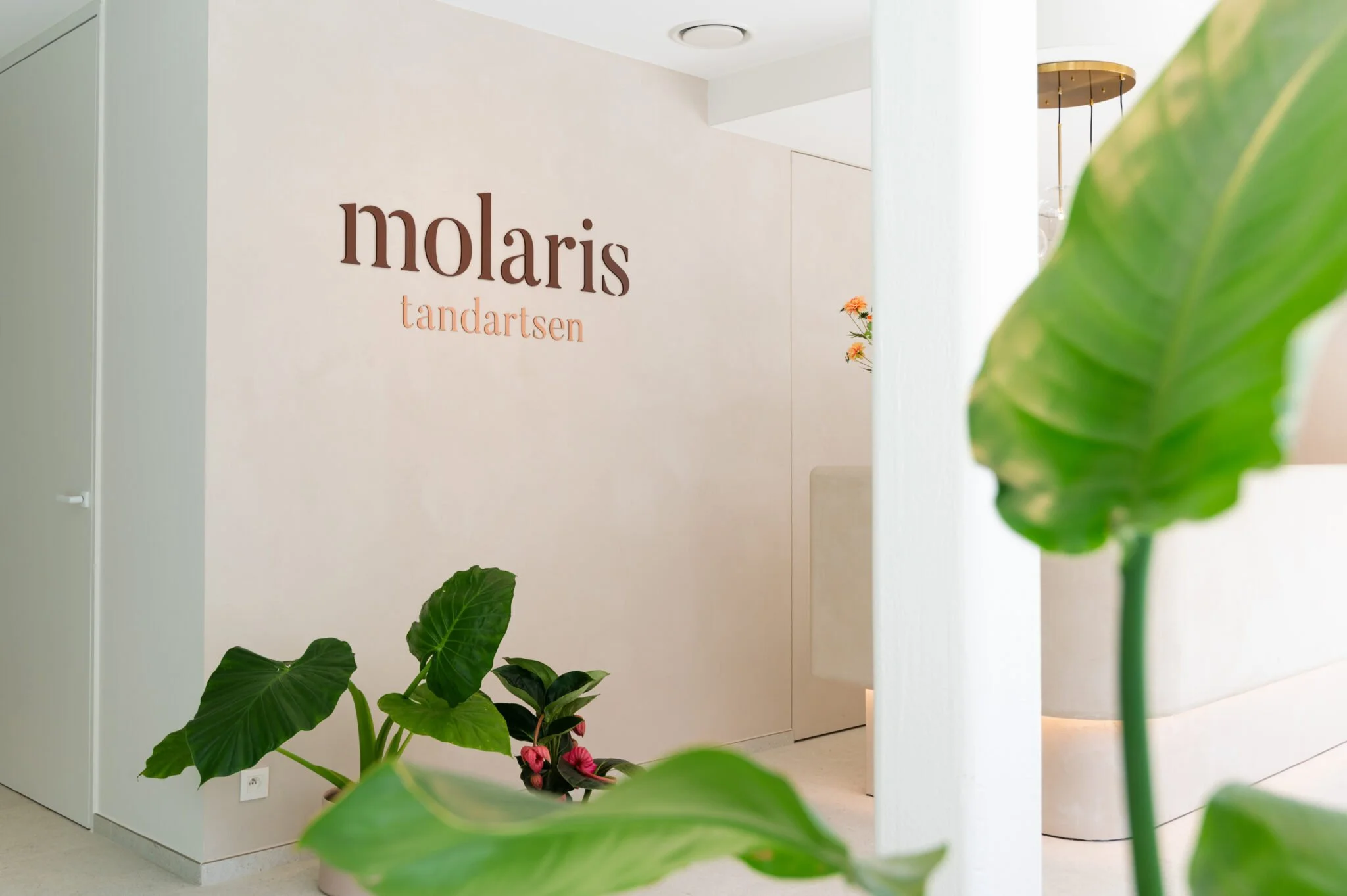 20240812-Molaris-48.jpg