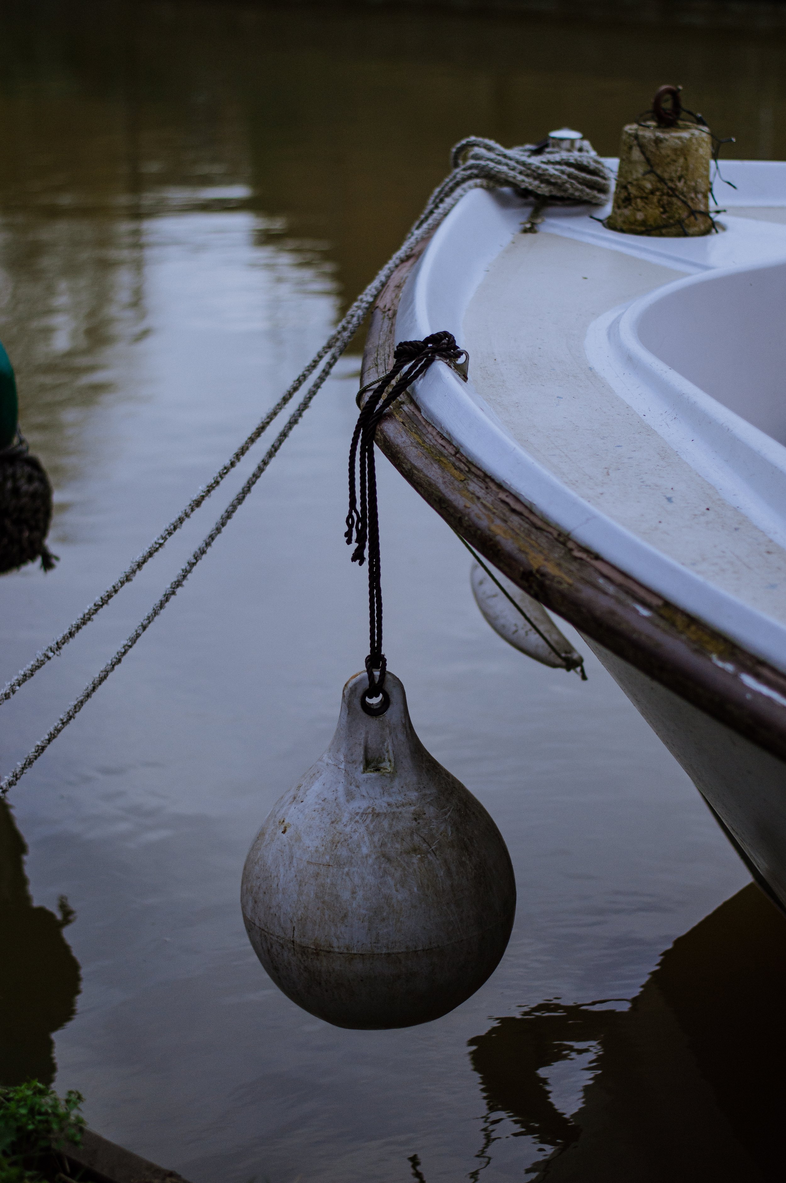 DSC_0306.jpg
