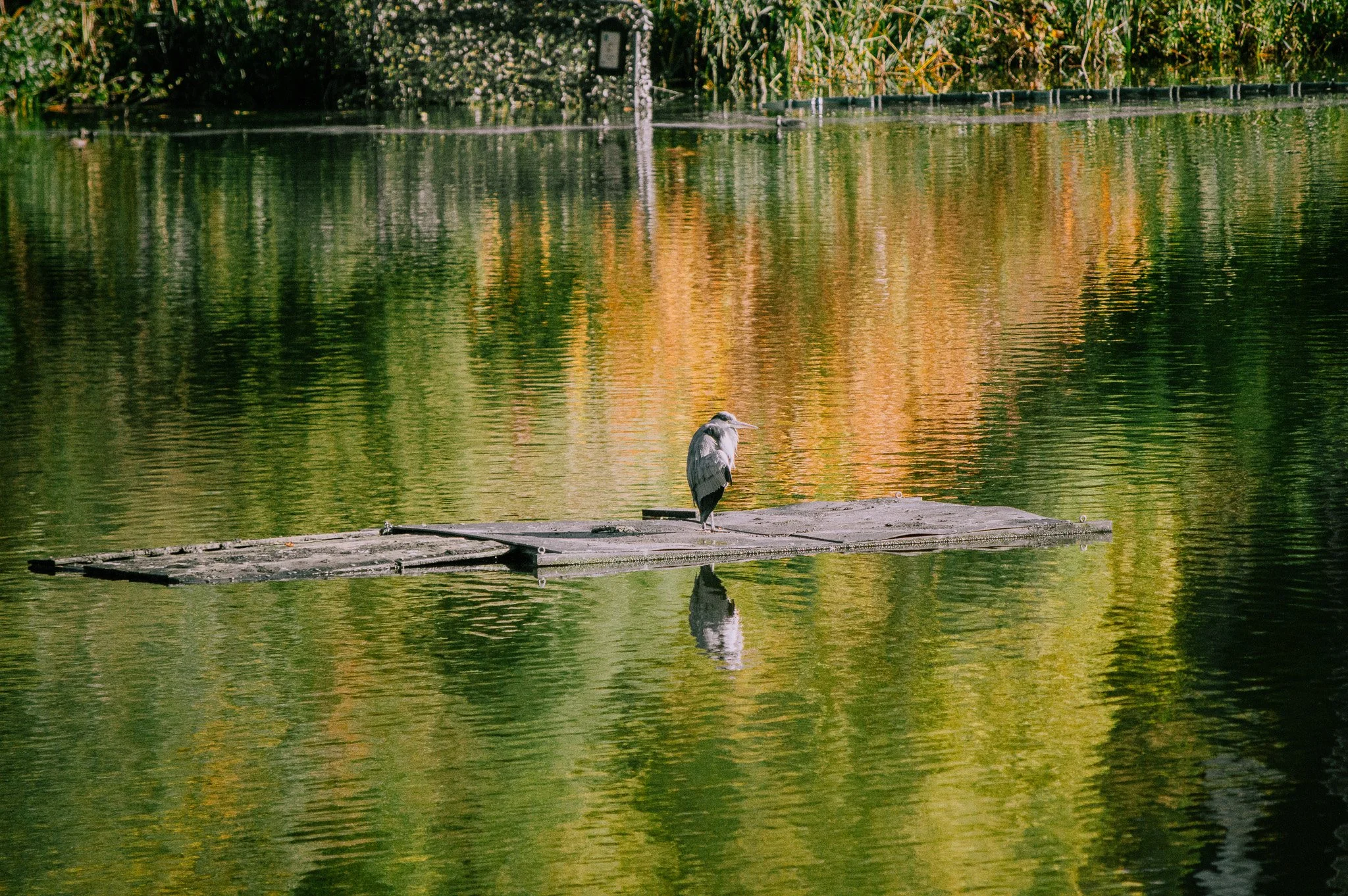 DSC_1372.jpg