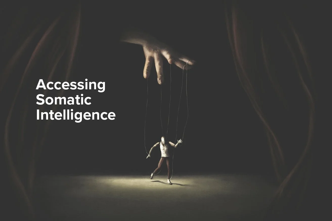 Accessing Somatic Intelligence: What they didn't tell you about the wisdom of the body in school