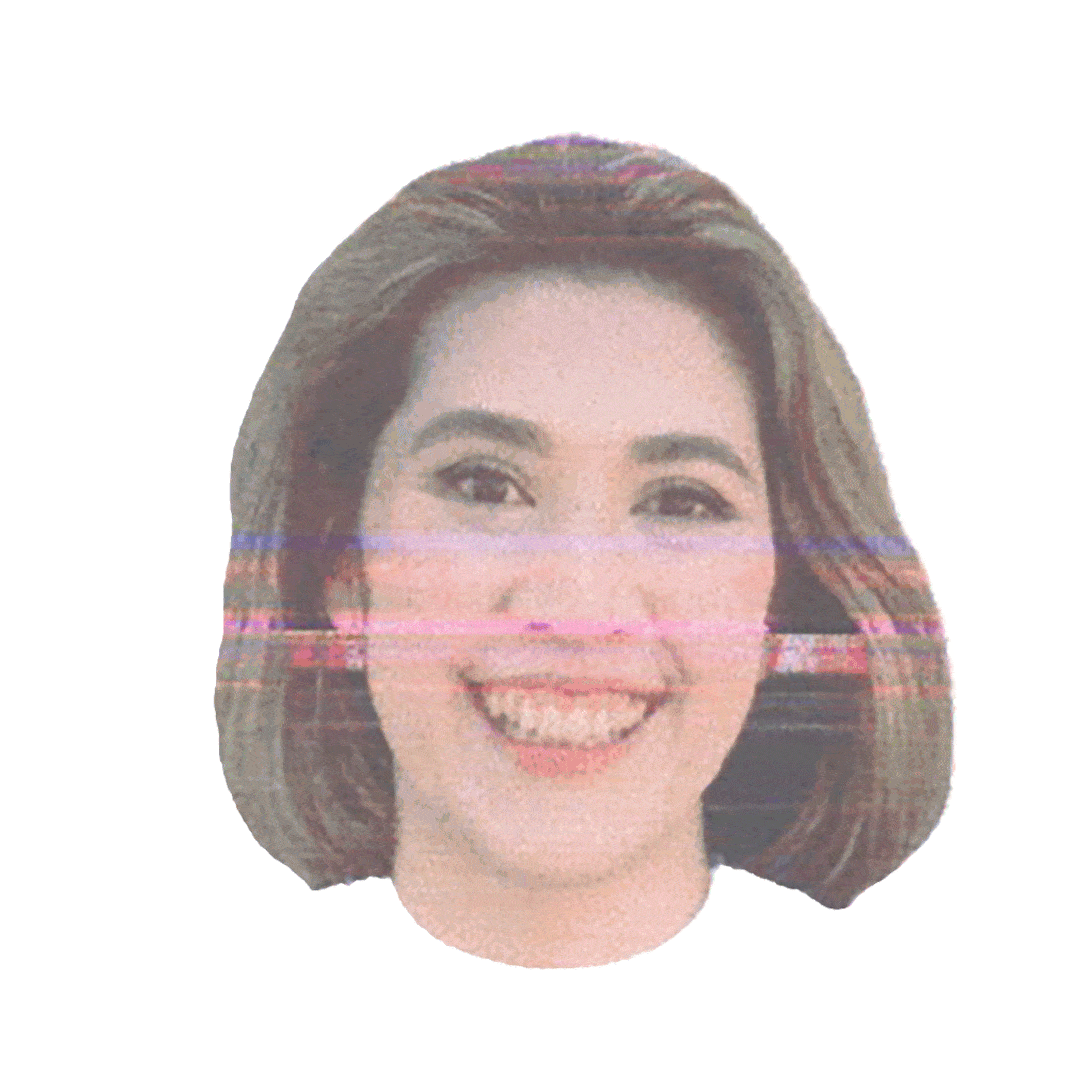 Joanna Fallon Studio glitch face