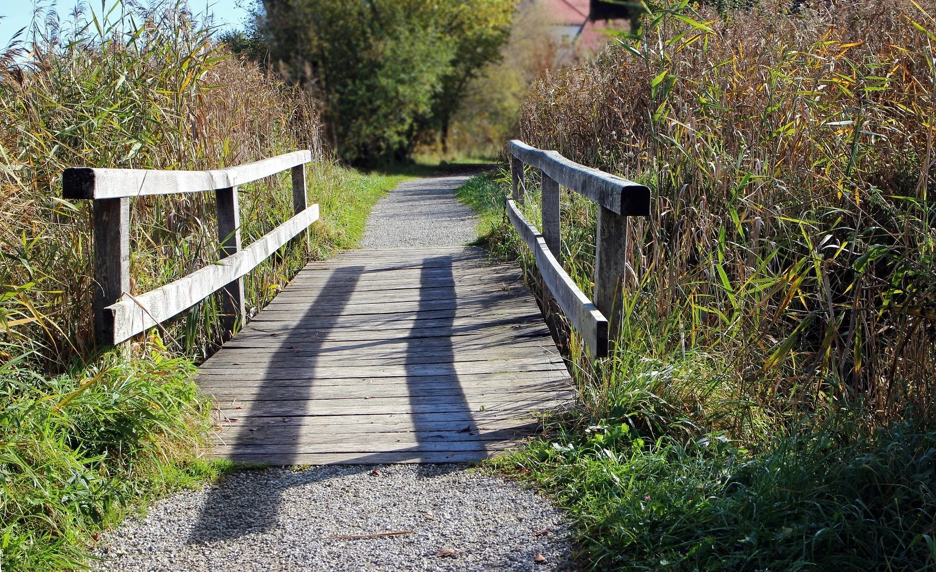 A wooden small footbridge over a gravel pathway in a natural setting with tall grasses or reeds on each side and trees in the background.