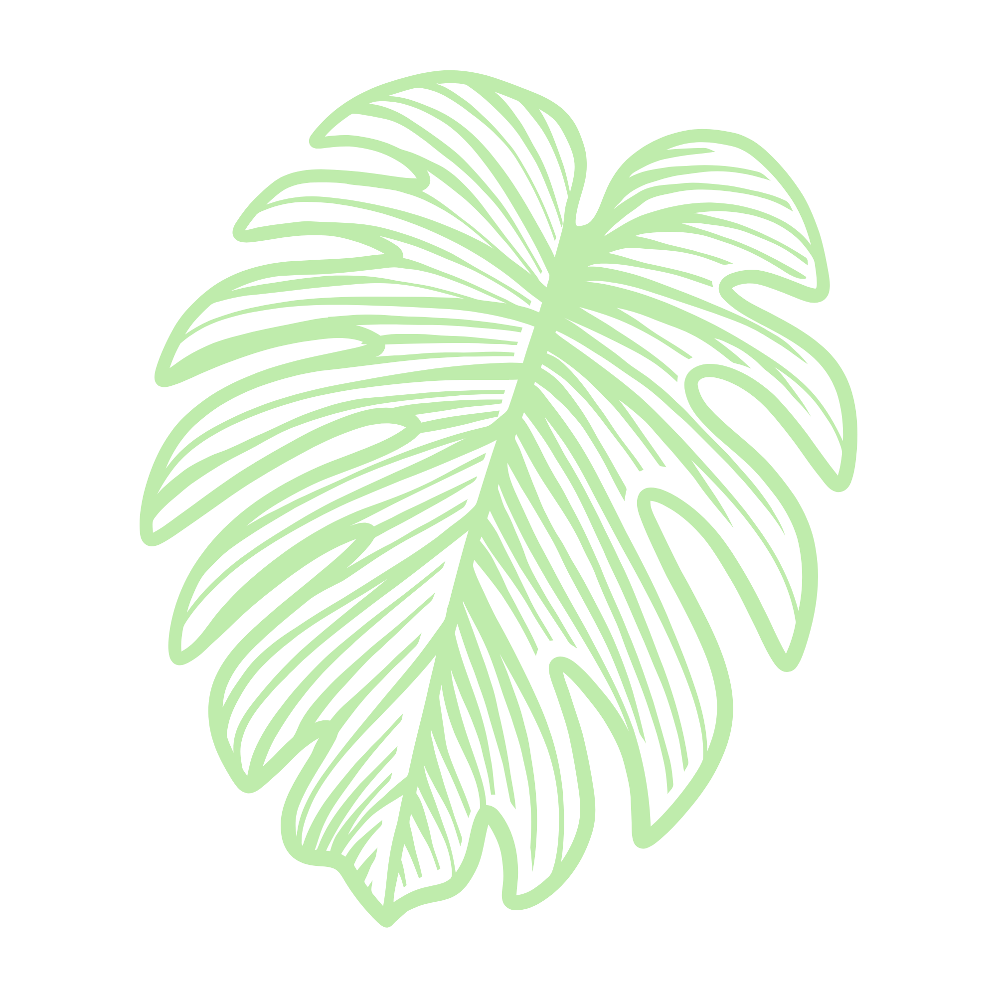Illustration of a green monstera leaf on a black background.