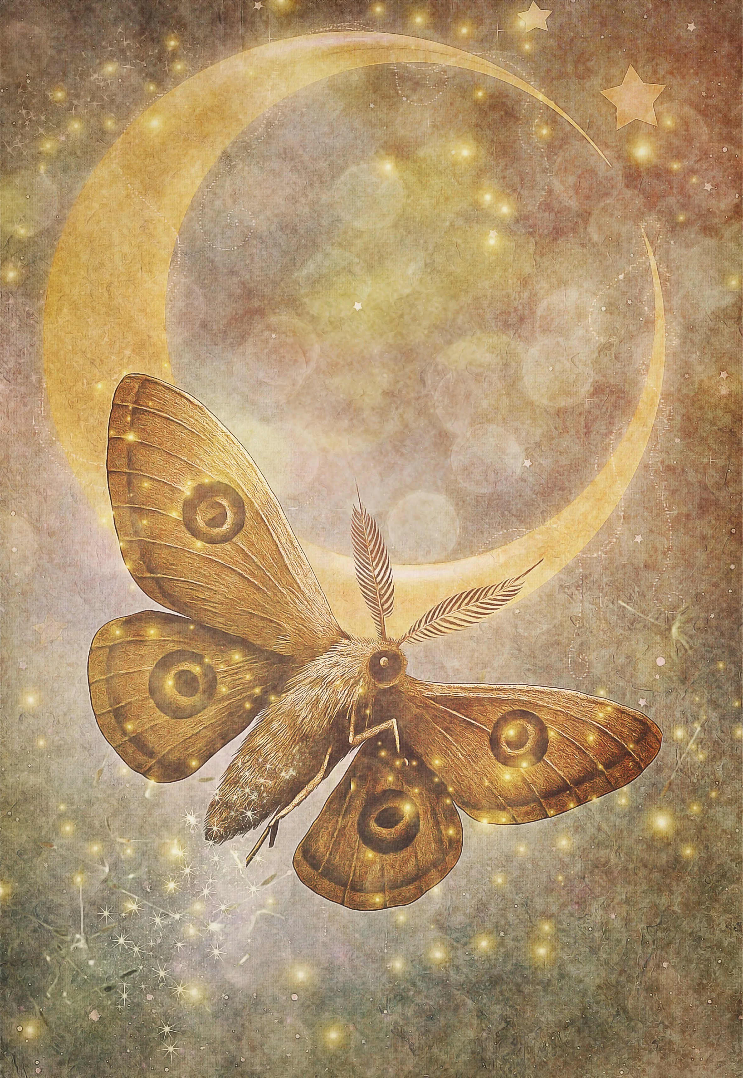 Mindful Moth.jpg