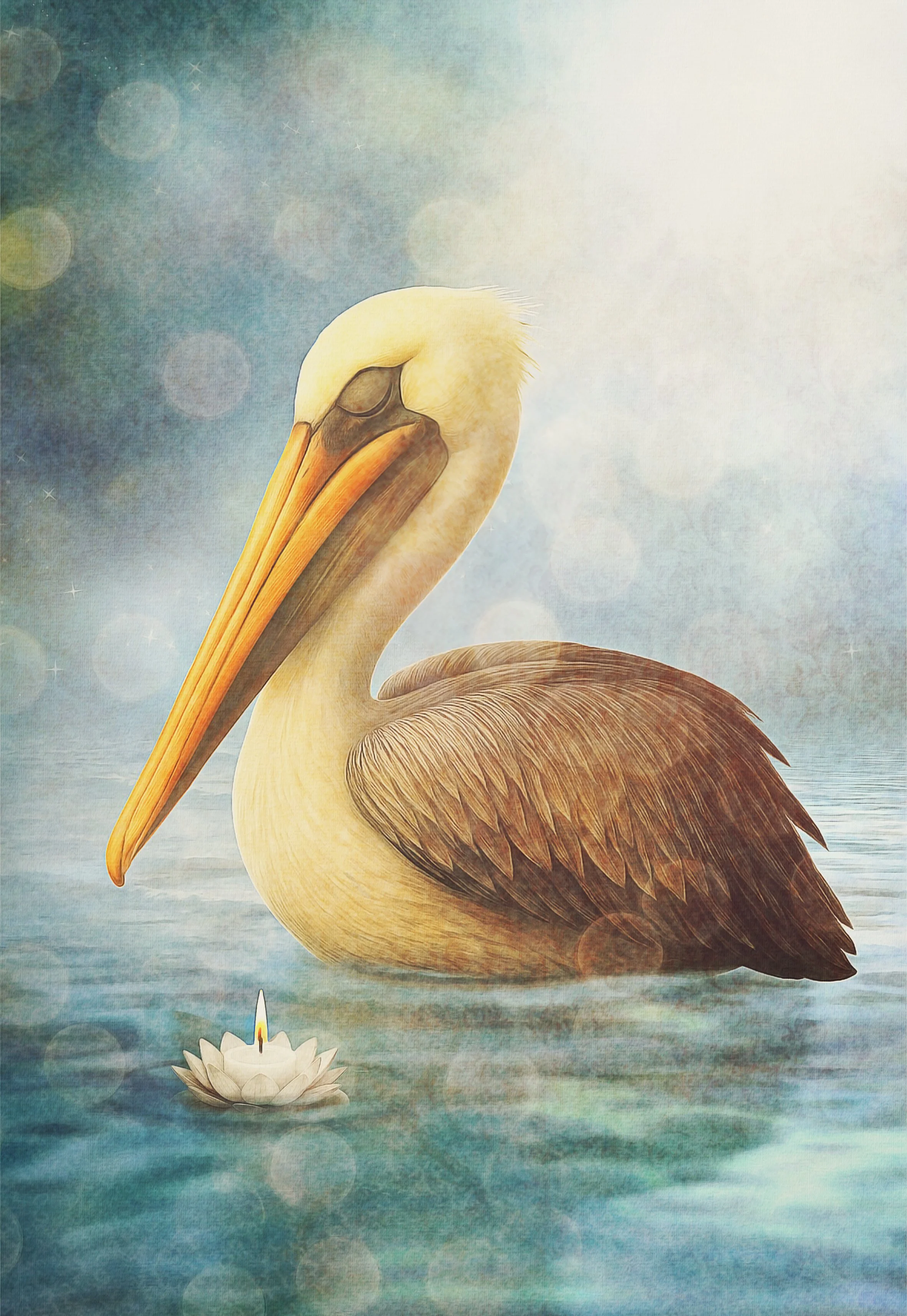 Pensive Pelican.jpg