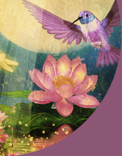 Illustration of a colorful hummingbird flying above a pink water lily with green leaves, set against a vibrant background.
