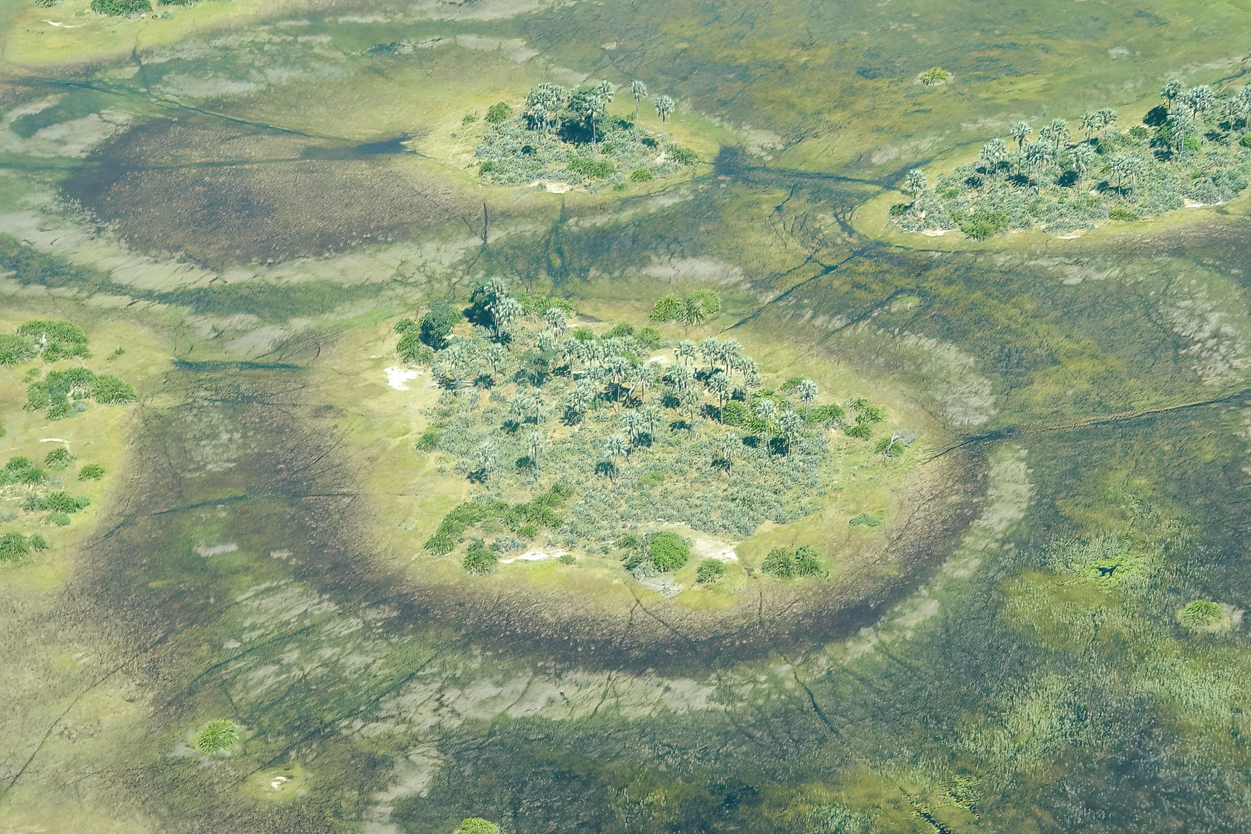 04039.jpg