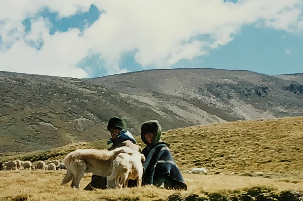 00007.jpg