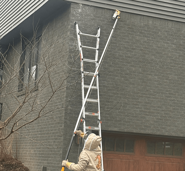 Workers with a ladder from Pests Go Home Pittsburgh