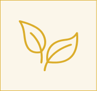 Icon of flowers for eco-friendly from Pests Go Home Pittsburgh