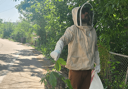 Brian Essek from Pests Go Home Pittsburgh wearing protective beekeeping gear, including a veil, tending to a tree branch outdoors.
