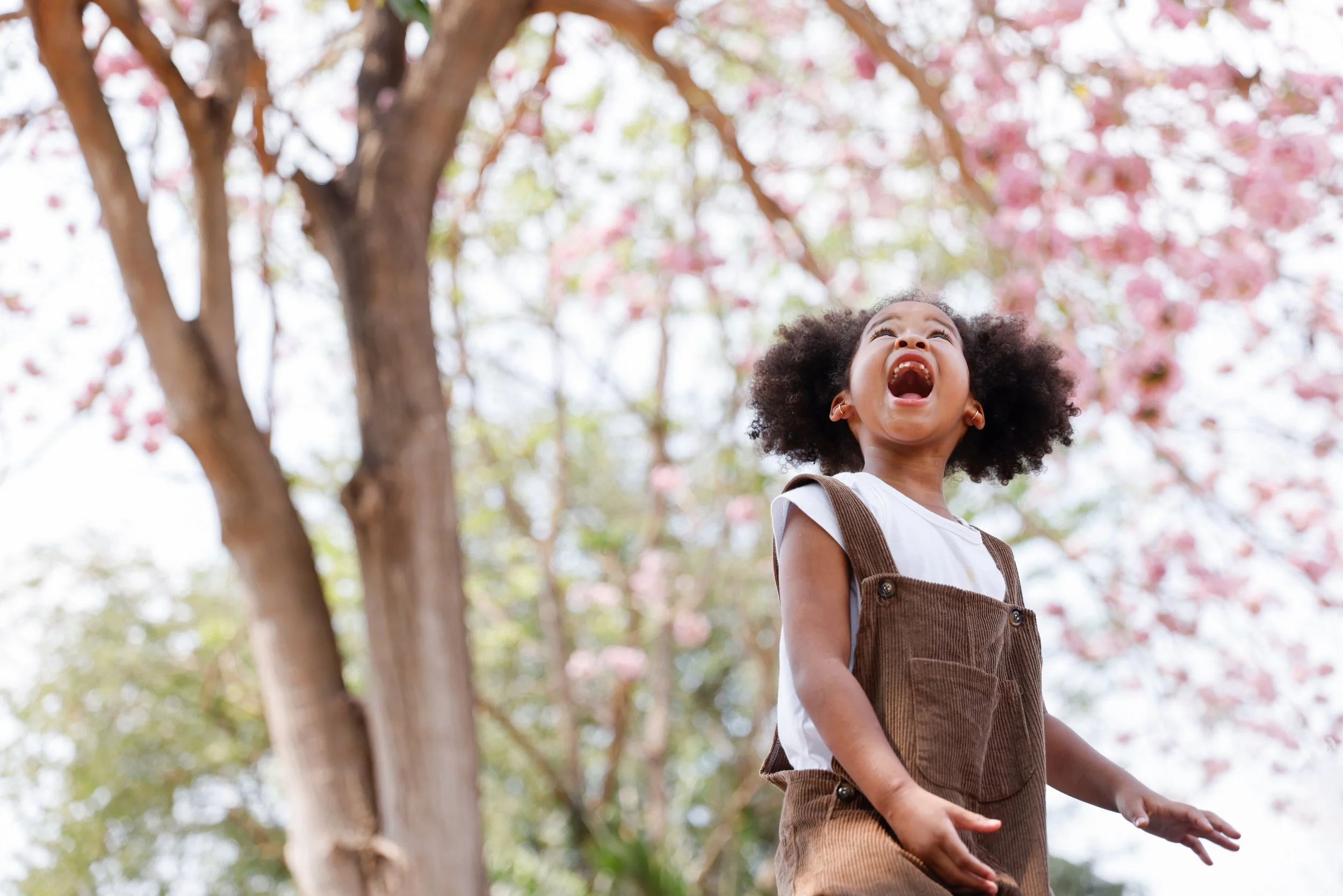 A young girl with curly hair, wearing a white shirt and brown overalls, laughing outdoors under blooming pink trees.