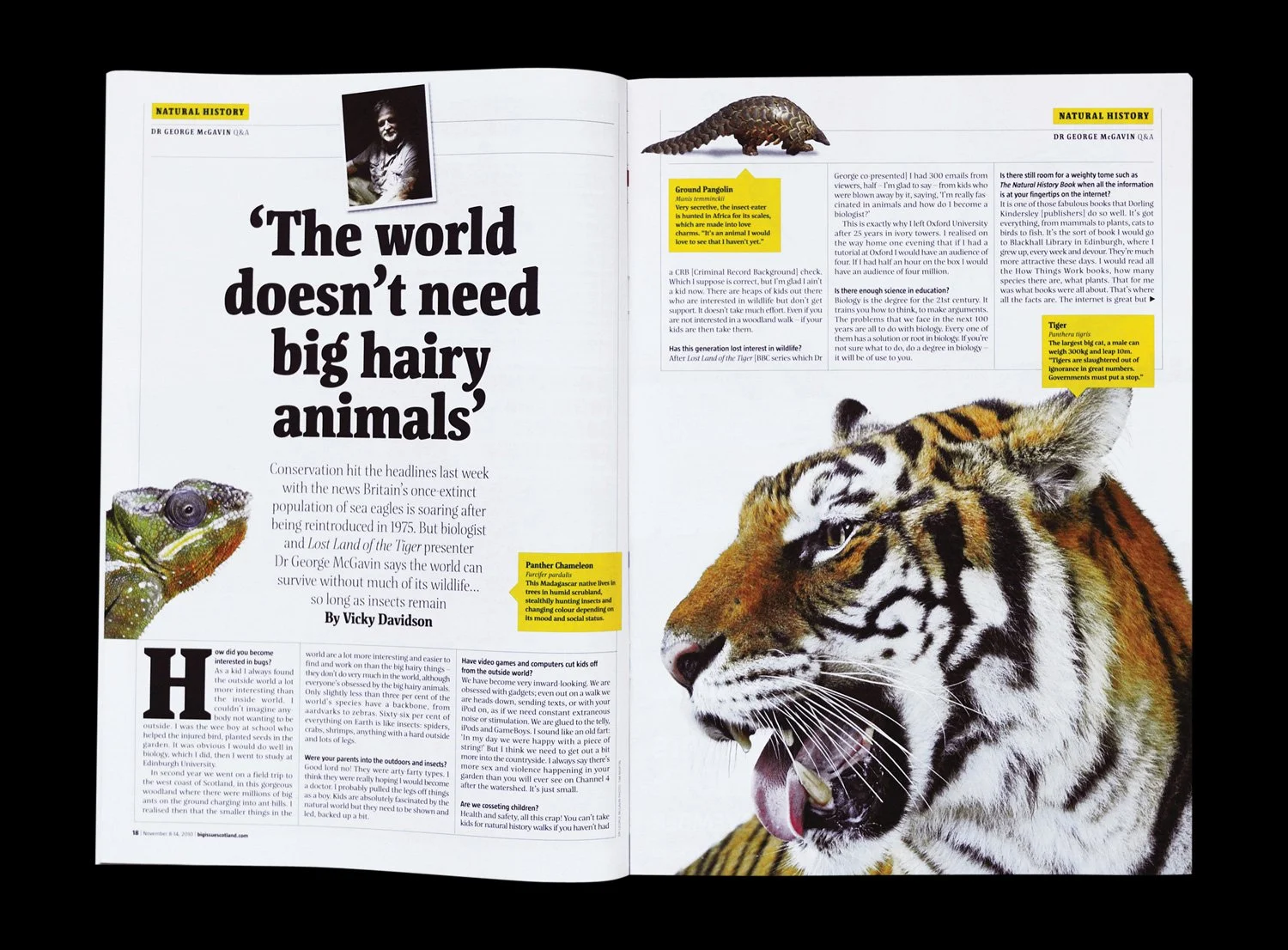 tbi-1011-animalsdps.jpg