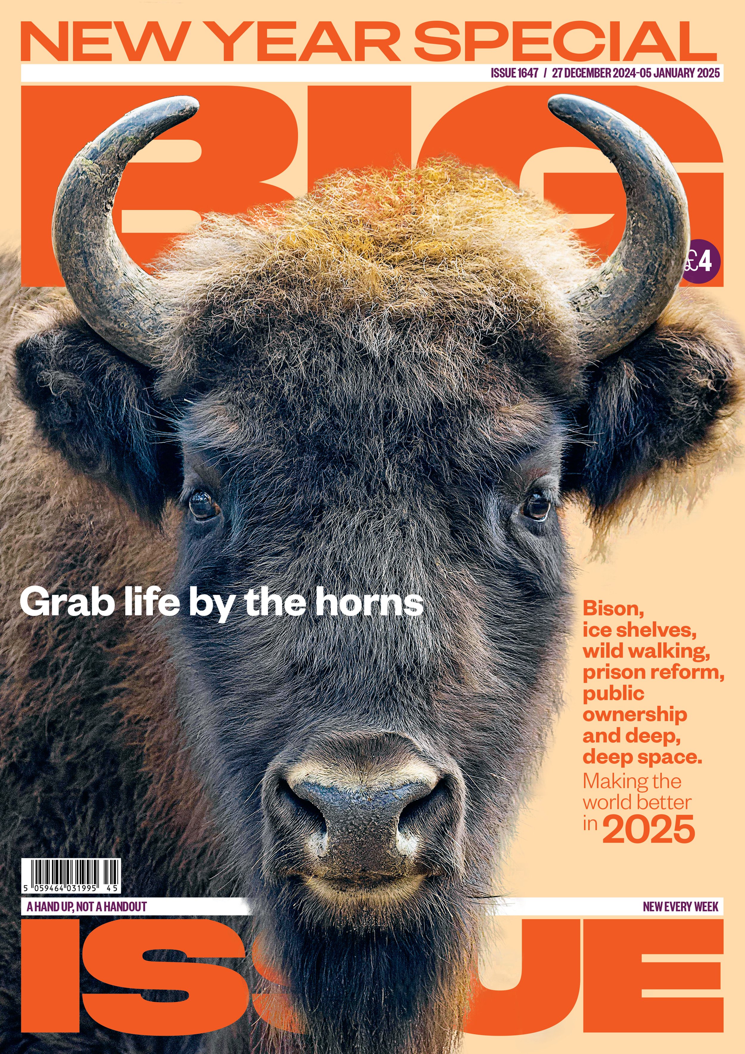 bi-newyear-bison-cover.jpg