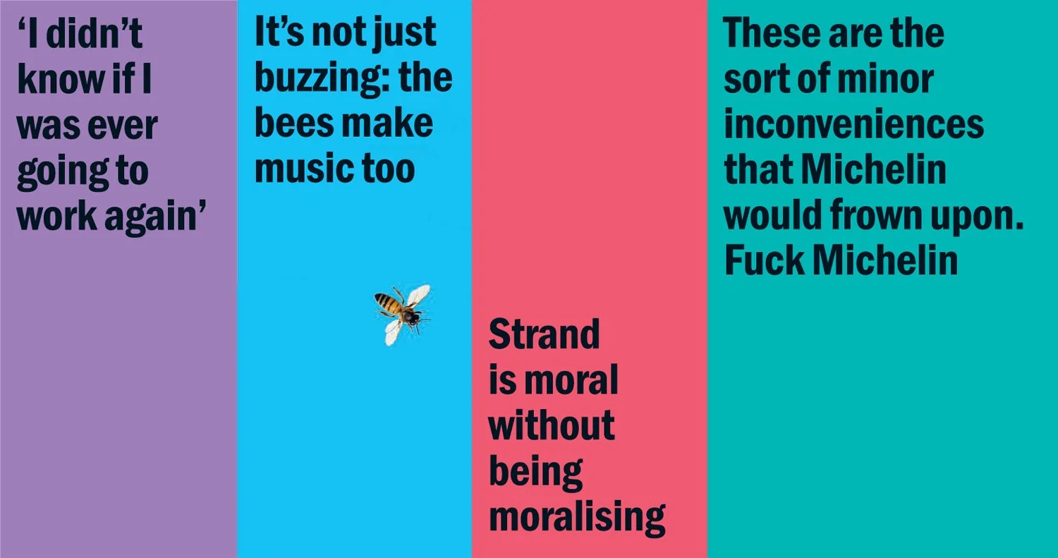 to-pullquotes.jpg