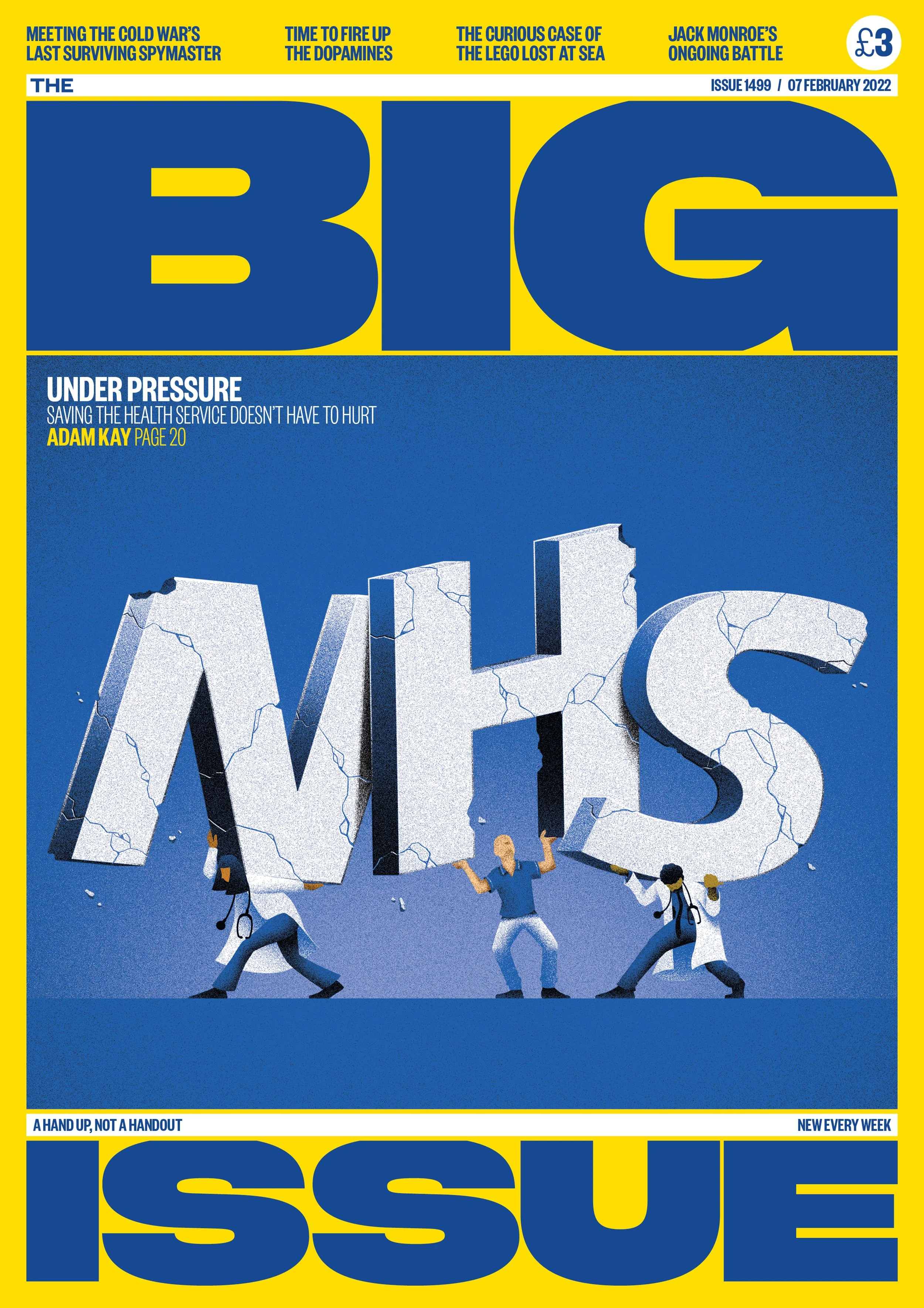 bi-nhs-cover.jpg