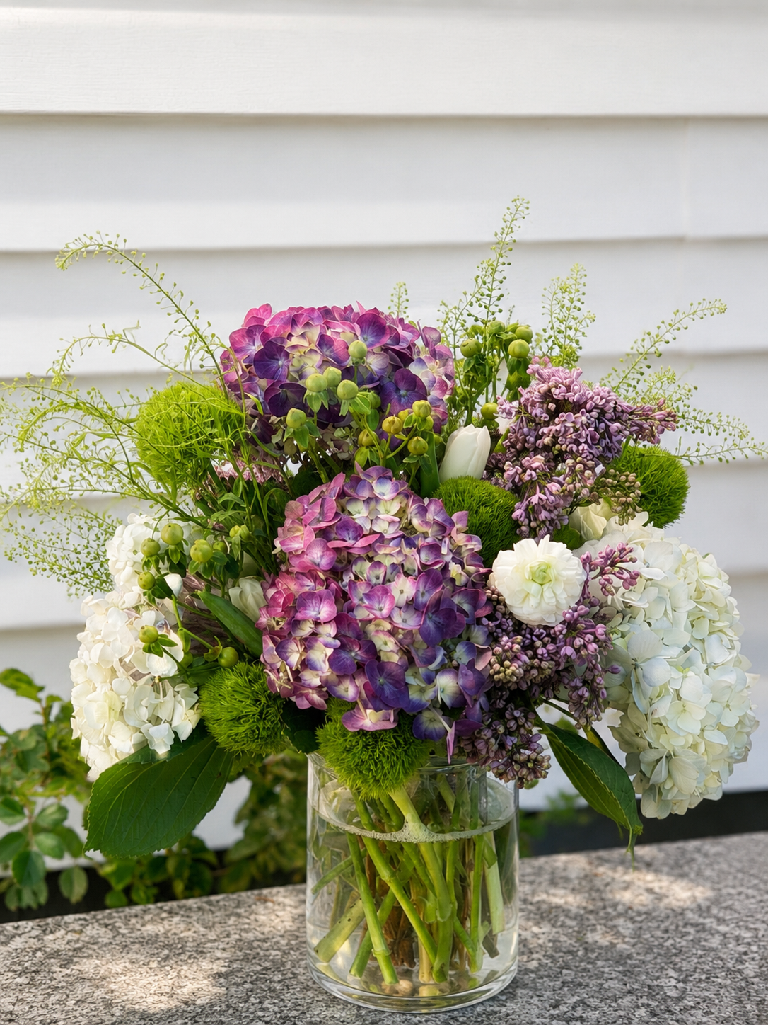 The Harbor Hydrangea