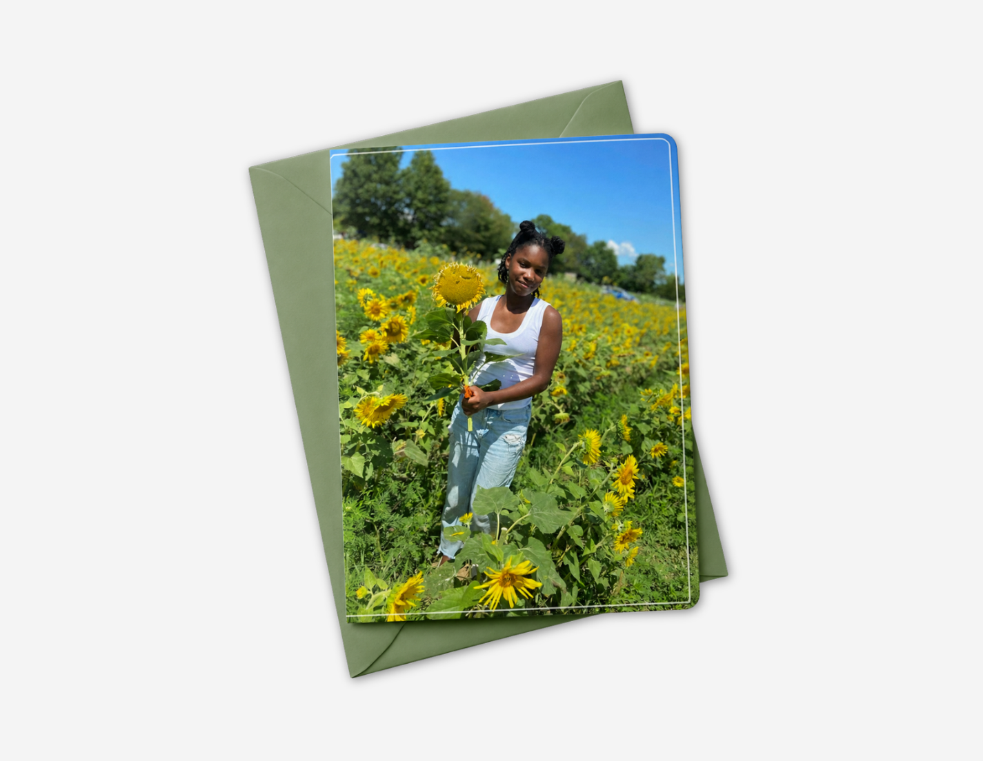 Sunflower Memories