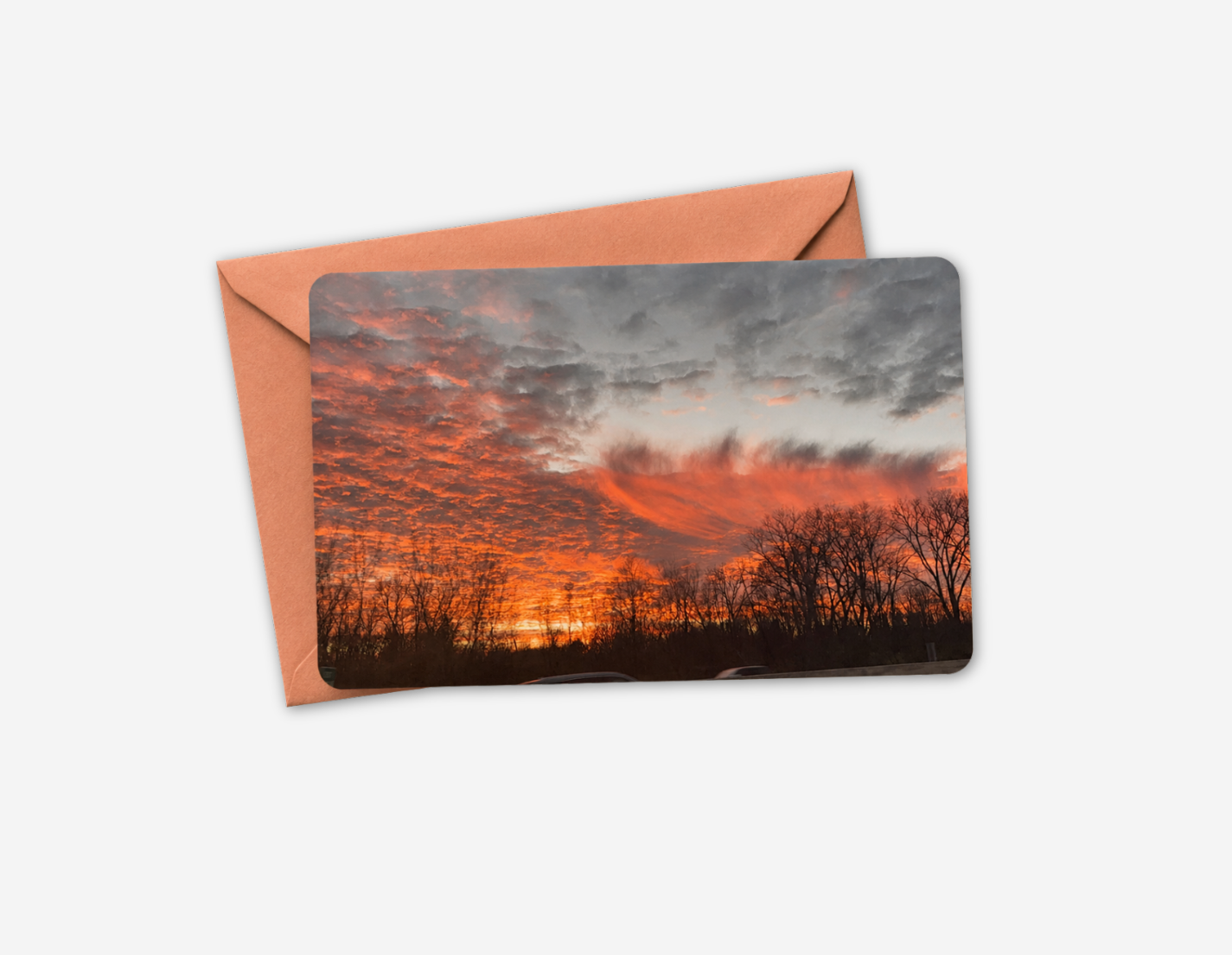 Sunset Light