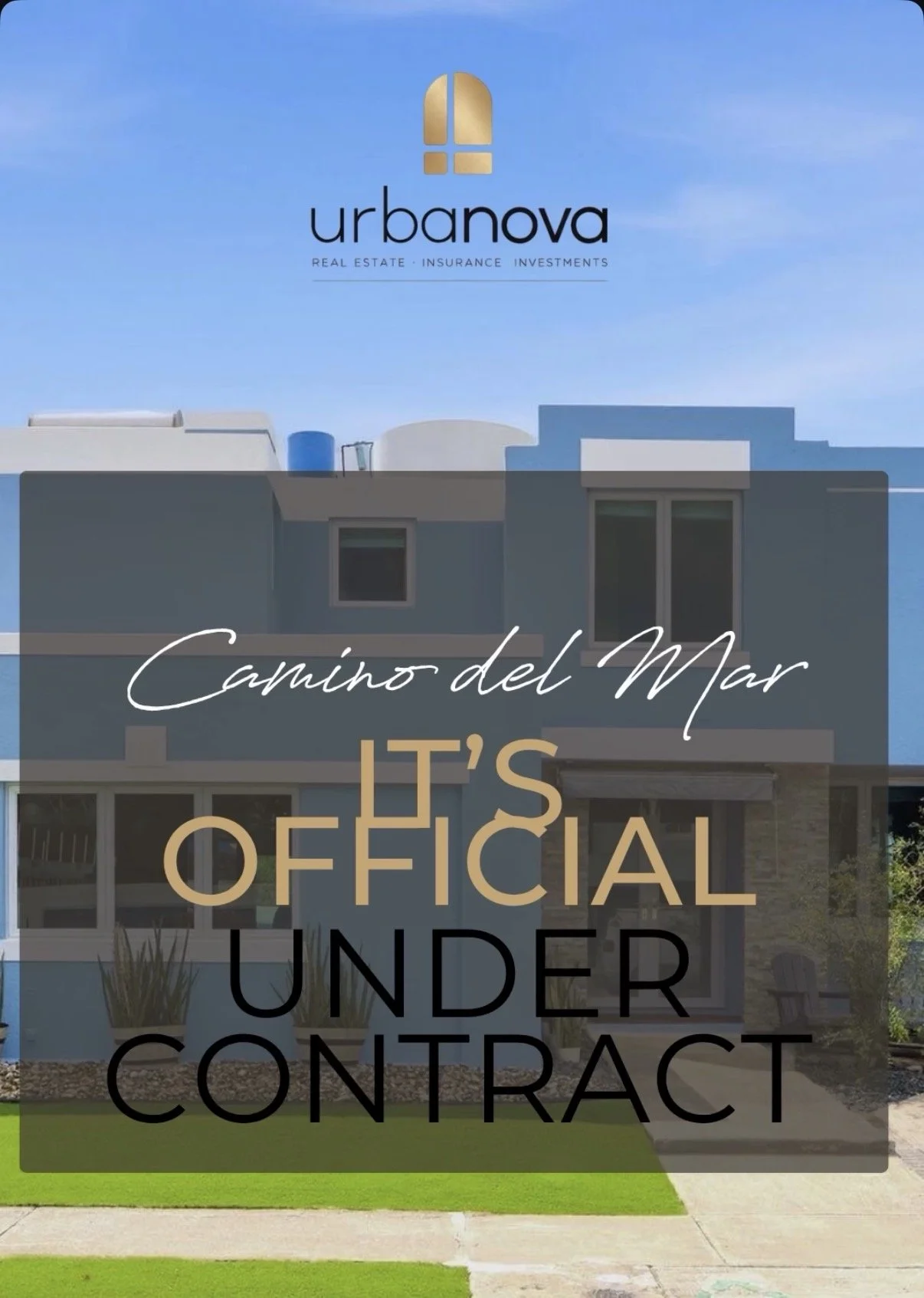 IMG_7921.jpg