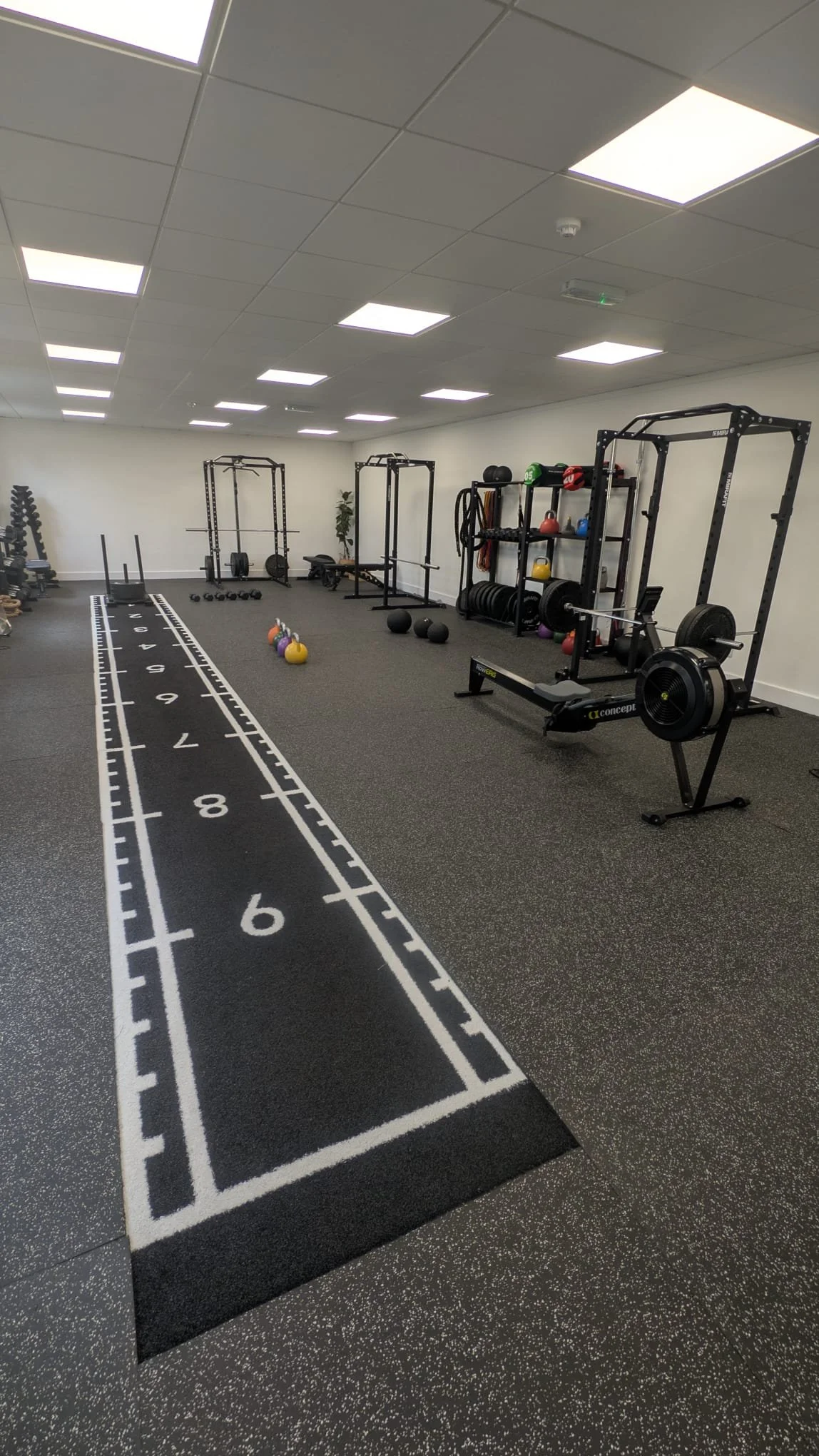 Gym with workout equipment including kettlebells, medicine balls, weights, and a workout track printed on the floor.