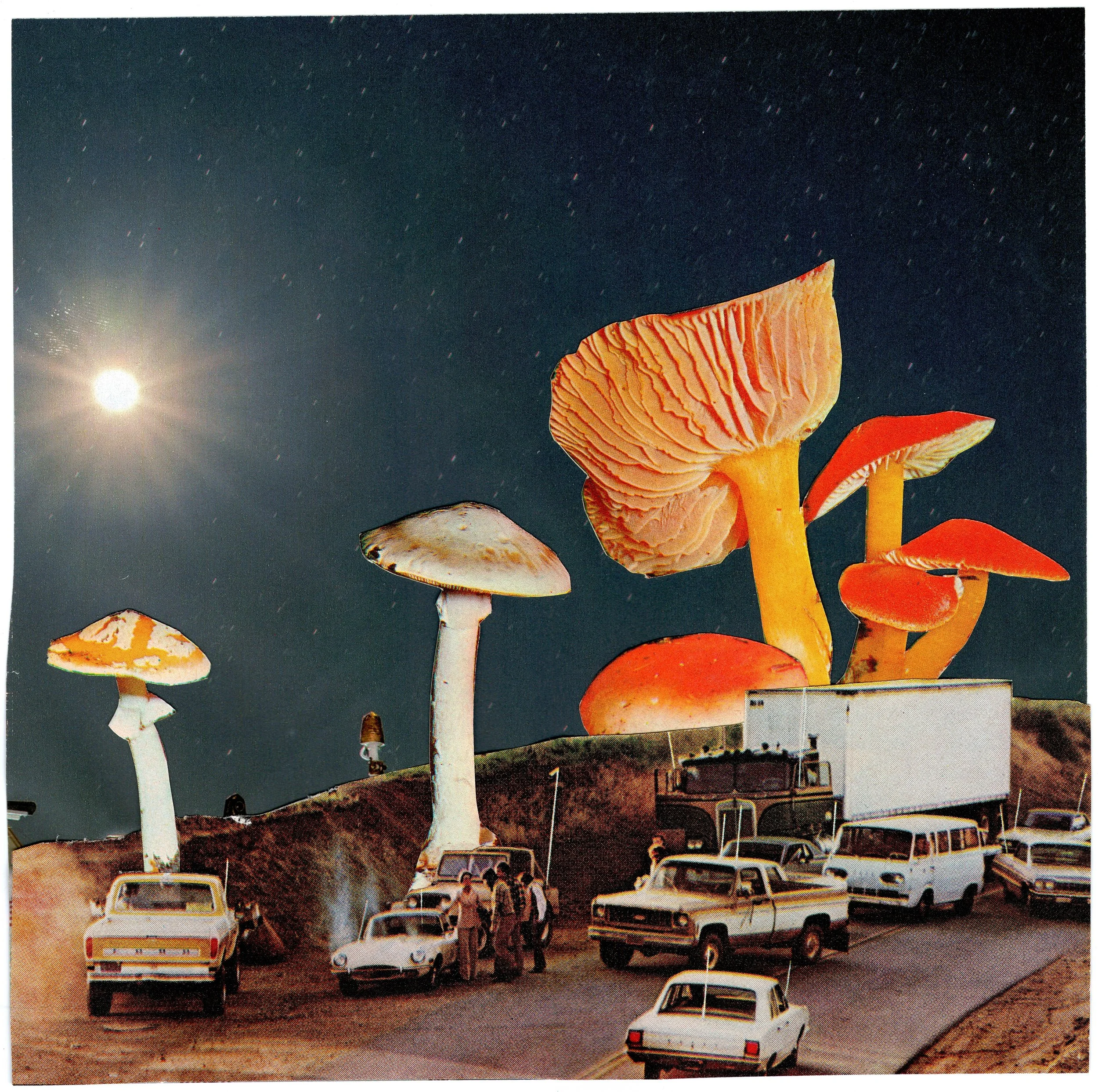 mushieworld_0001.jpg