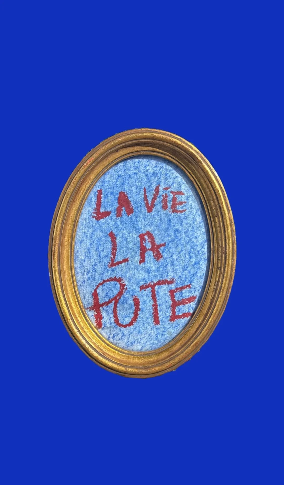 La Vie La Pute Interviened Framed Painting by Multi Media Artist Rita Correia de Sá