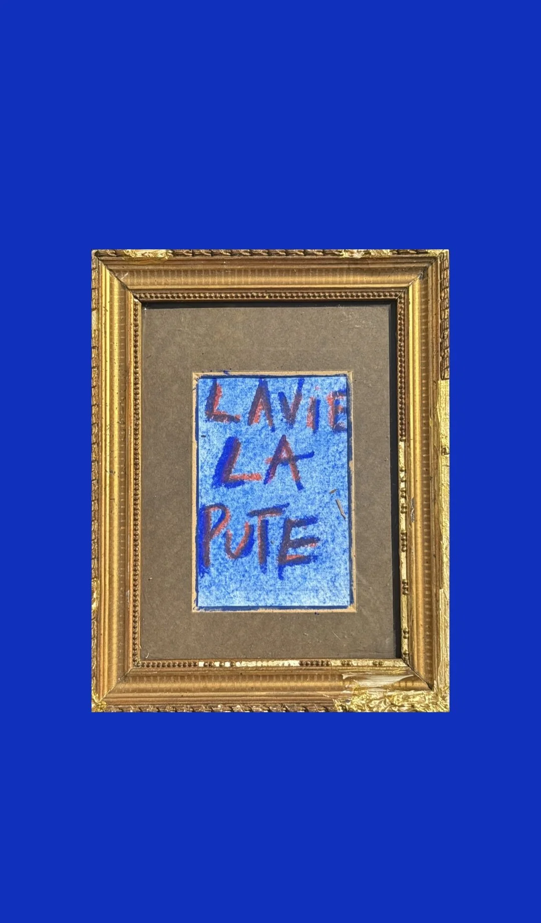 La Vie La Pute