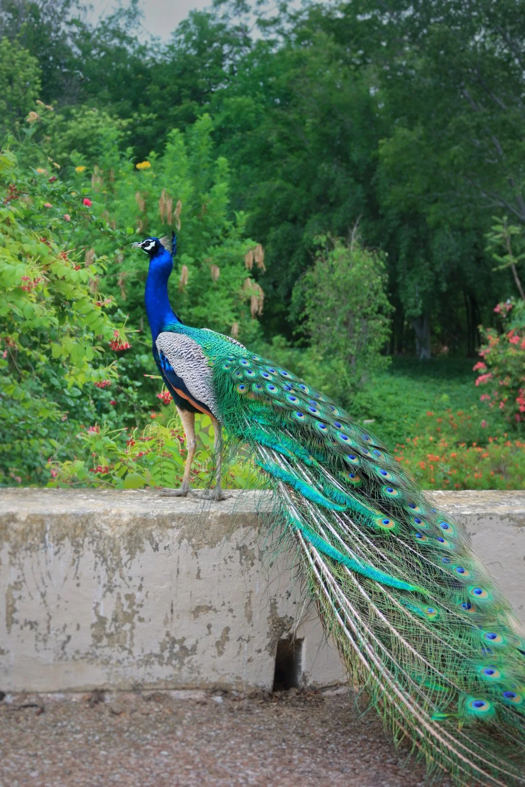 IMG_6435.JPG