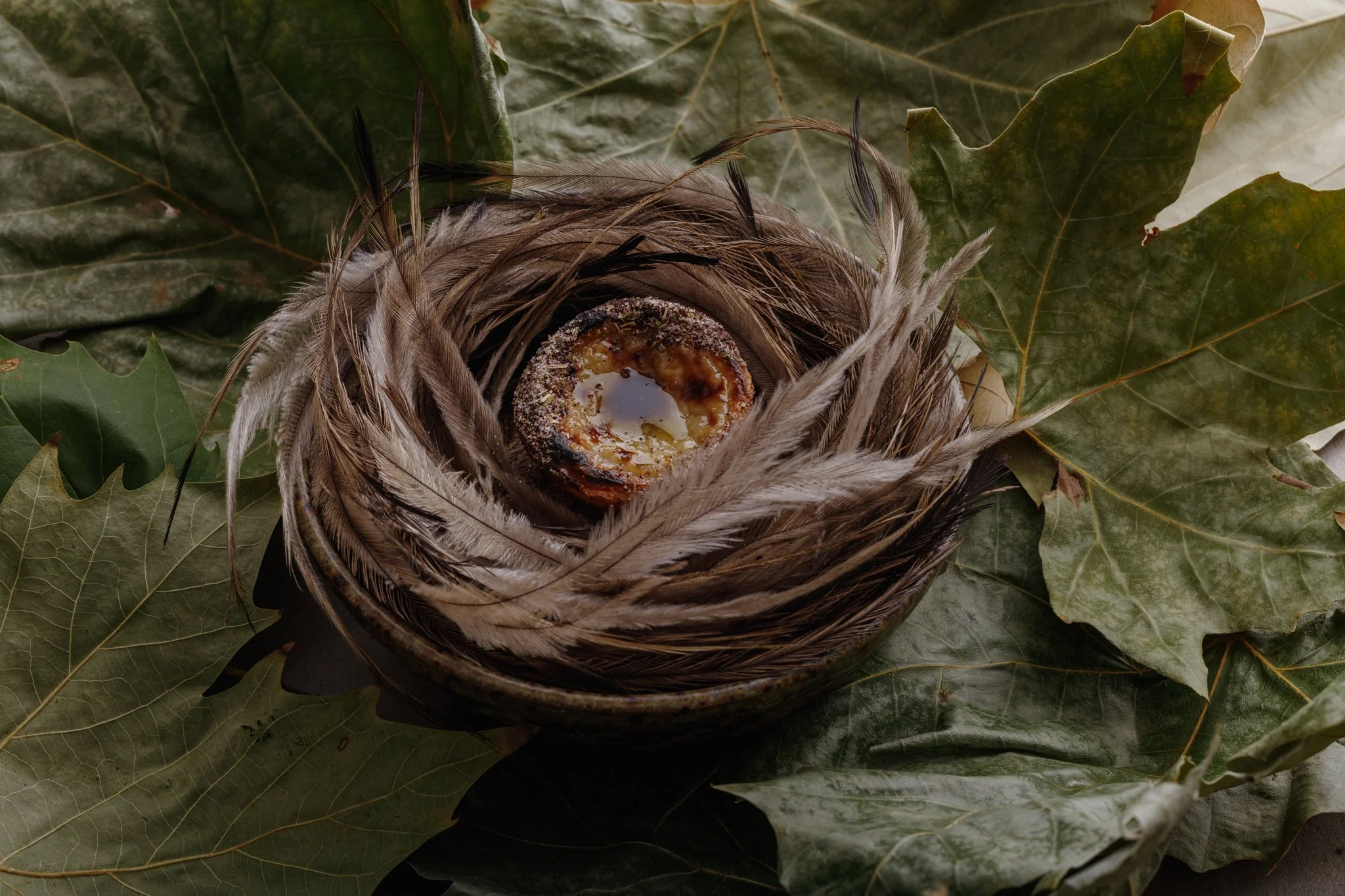 A bird's nest made of feathers and twigs, with a cracked eggshell inside, resting on green leaves.