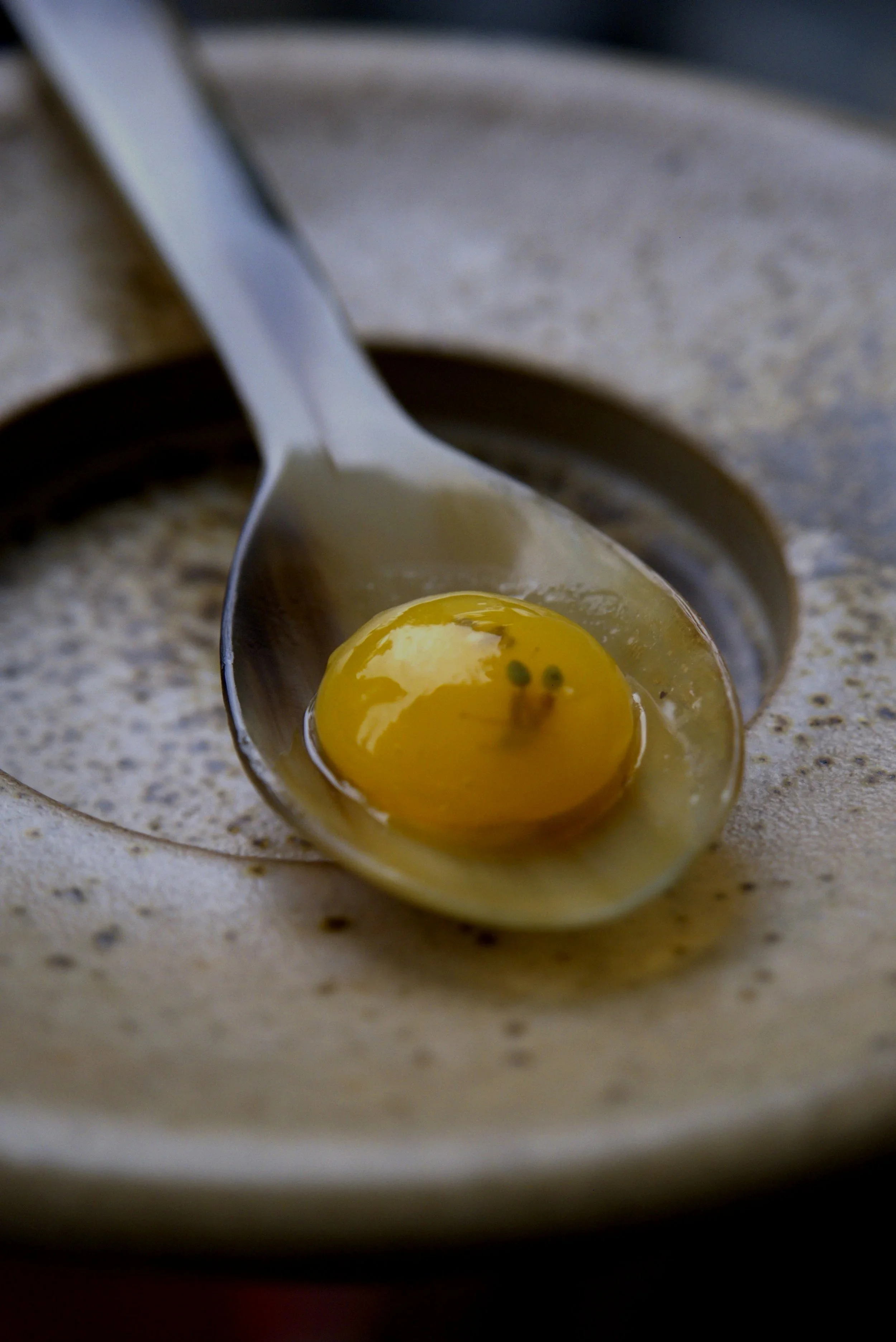 Close-up of a raw egg yolk in a metal spoon, resting inside a metal container or cup.