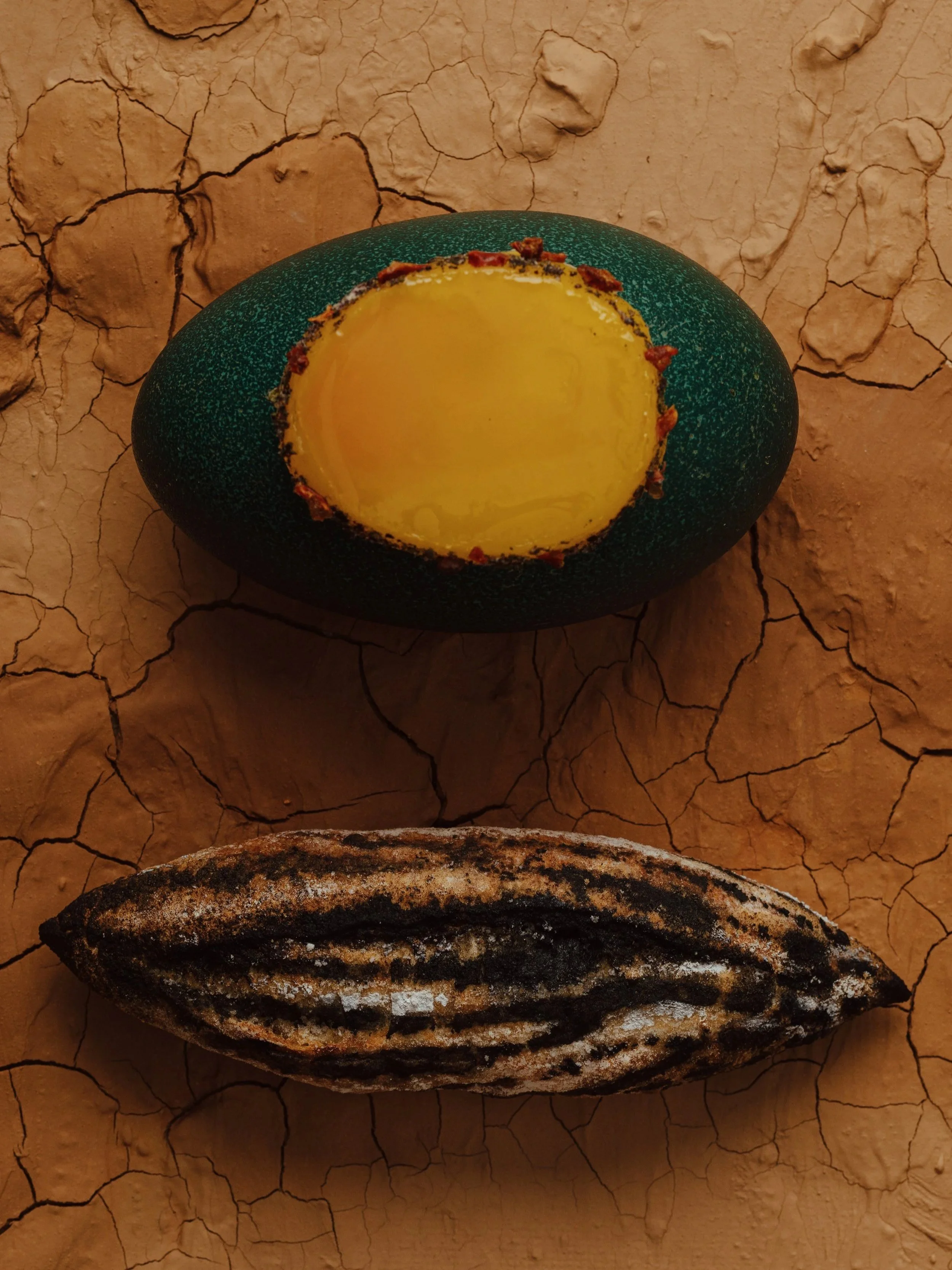 A cracked, dry, brown desert landscape with two different types of dried fish, one larger and darker at the bottom, and a smaller, yellowish one at the top, placed on the ground.