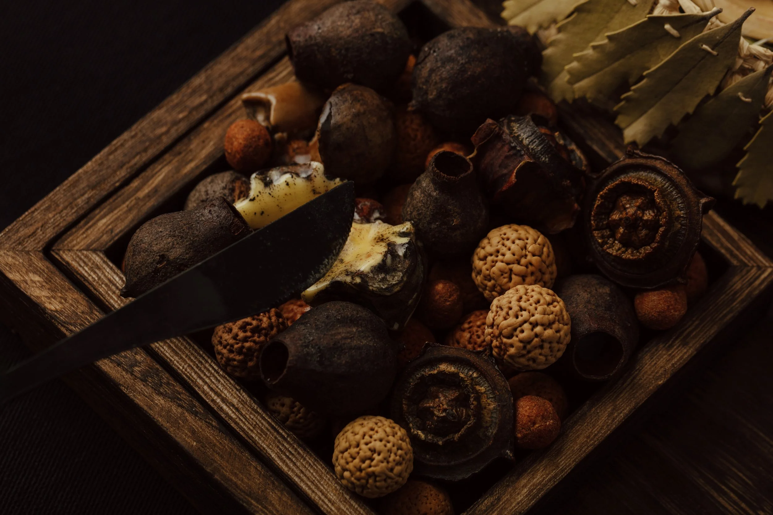 A wooden tray filled with various dried herbs, spices, and roots, including black peppercorns, dried bay leaves, and other botanicals.