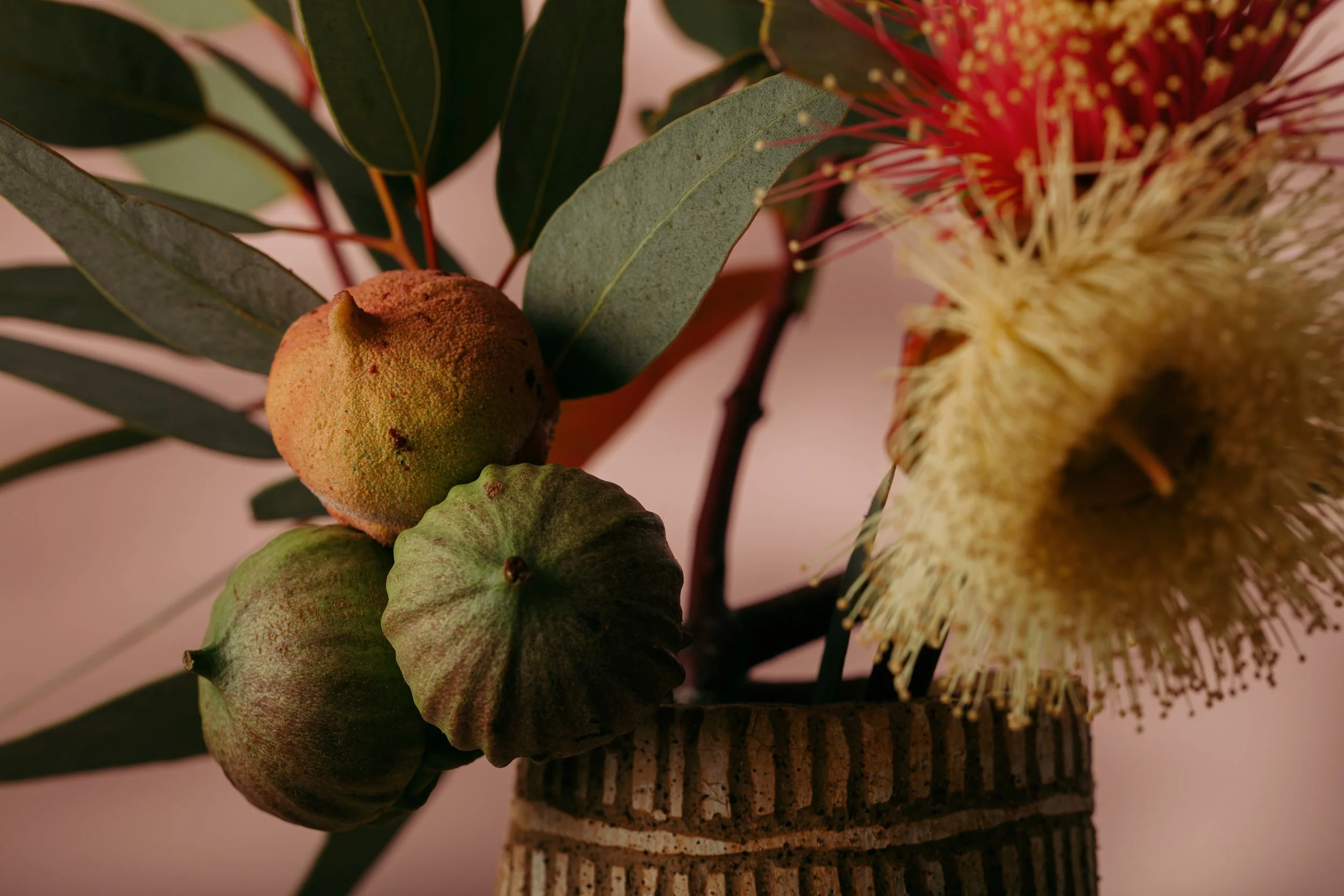 A bouquet of green leaves, a peach, with a large red and yellow flower and yellow fluffy flower in a striped pot.