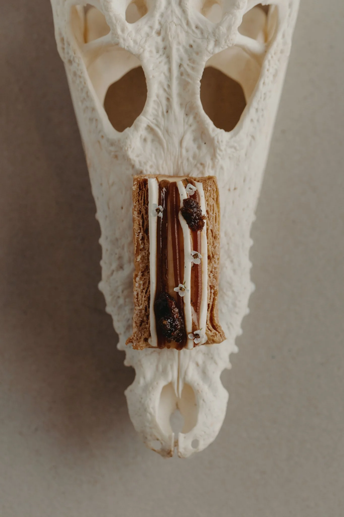 A detailed animal skull with a rectangular pastry placed on top of its lower jaw, decorated with chocolate, white icing, and tiny edible flowers.
