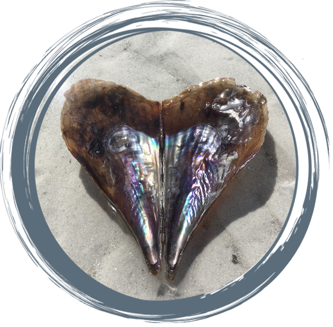 Heart-shaped iridescent shell found on sand, symbolizing connection and compassion