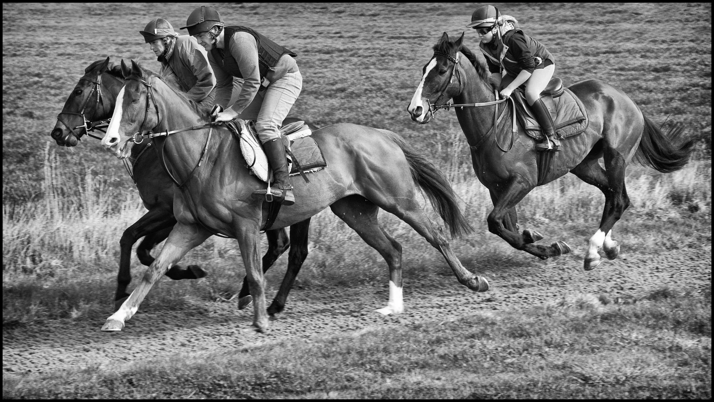 Racing Stables 1_Working_0096-2.jpg